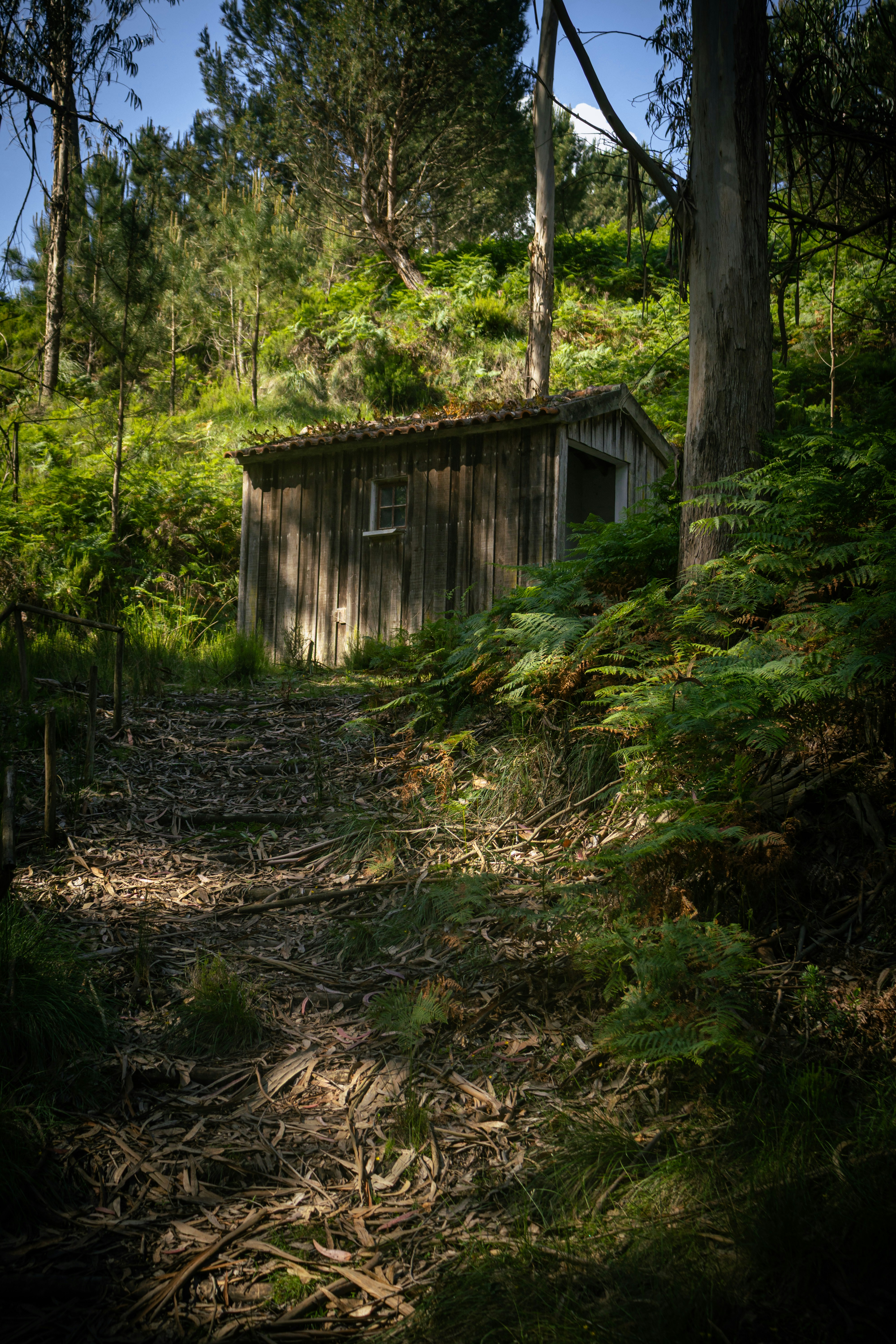 Photo by vinicius047