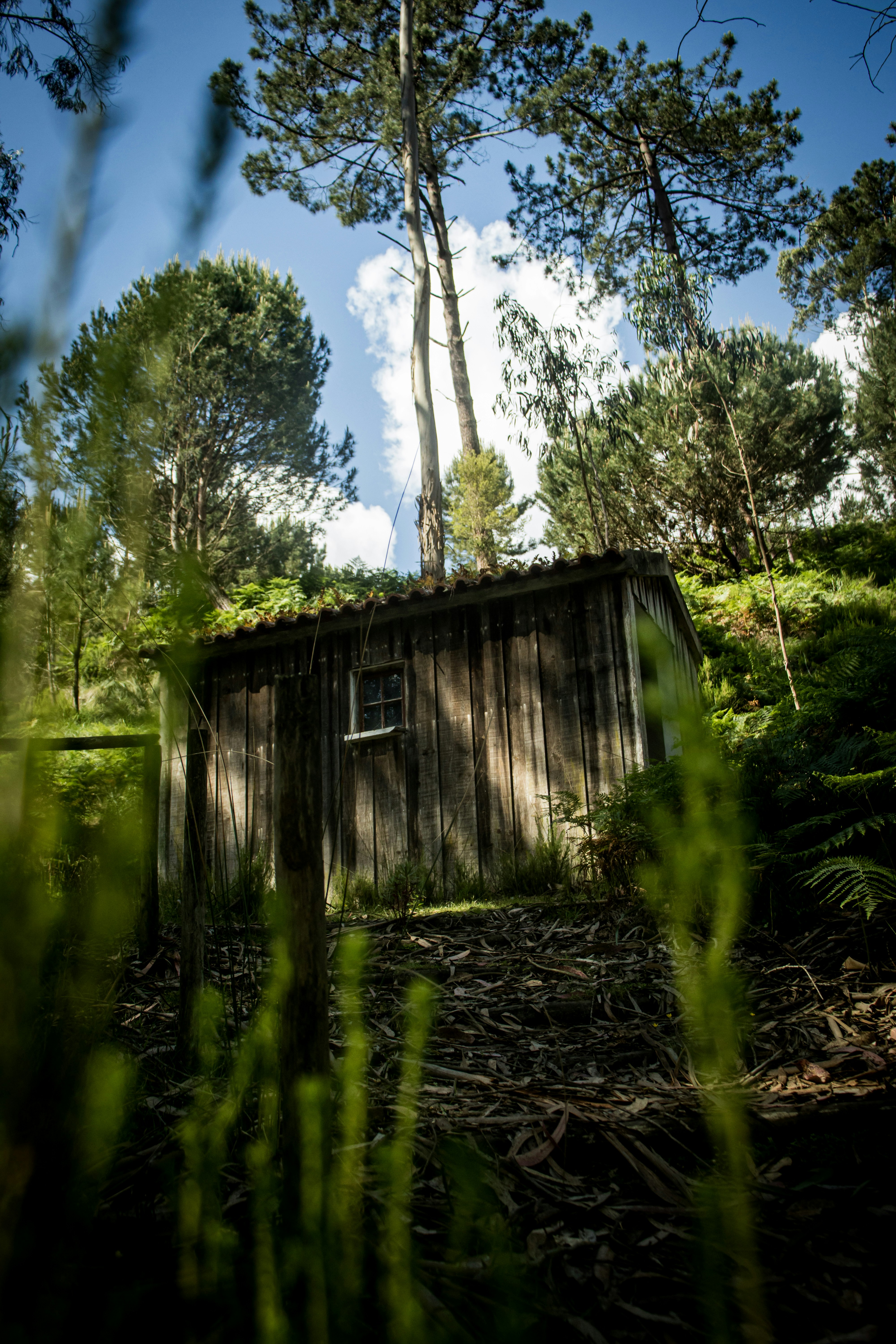 Photo by vinicius047