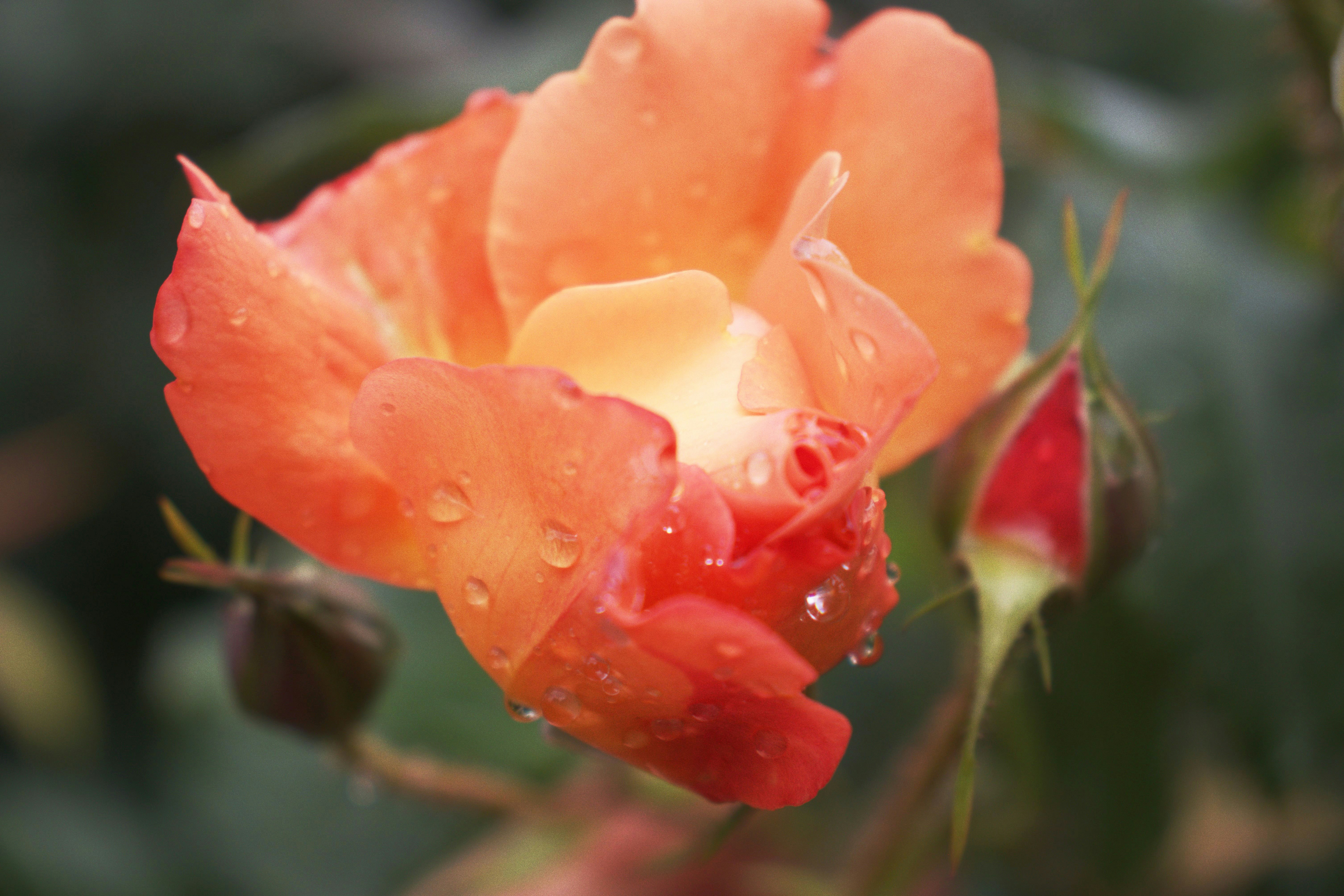 Photo by stasiaspark