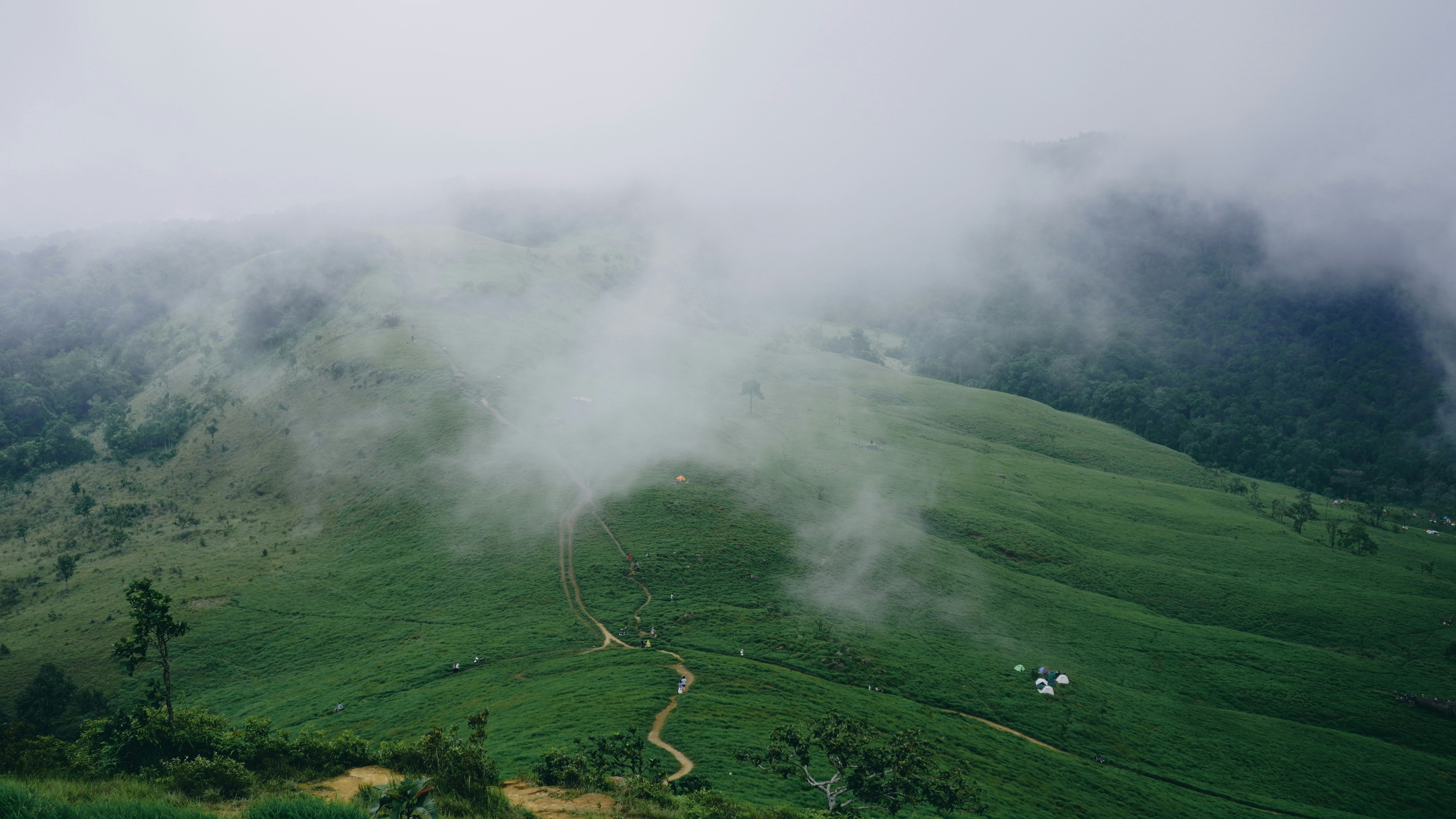 Photo by neathhorn