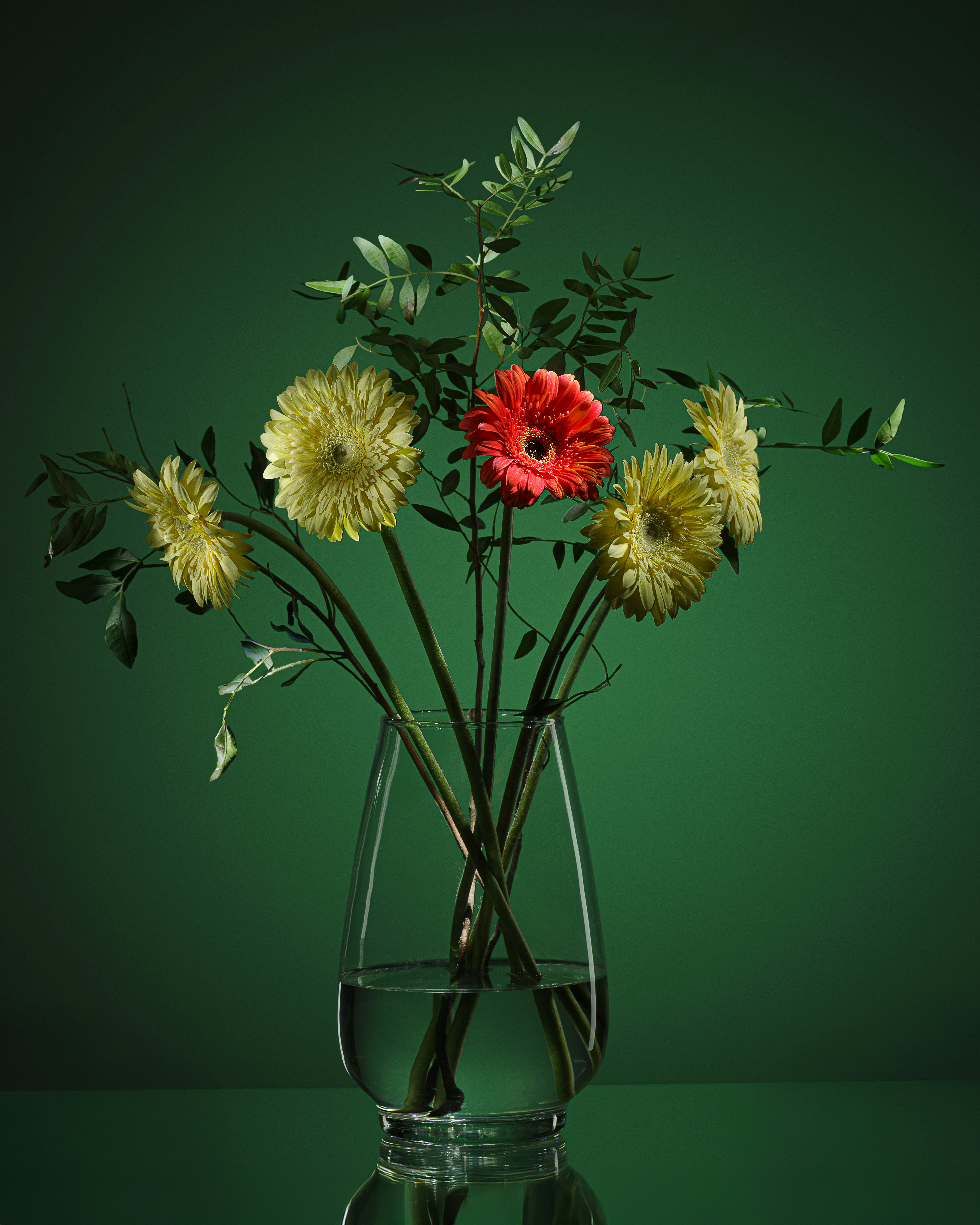 Flowers bloom in a clear vase on a green background
