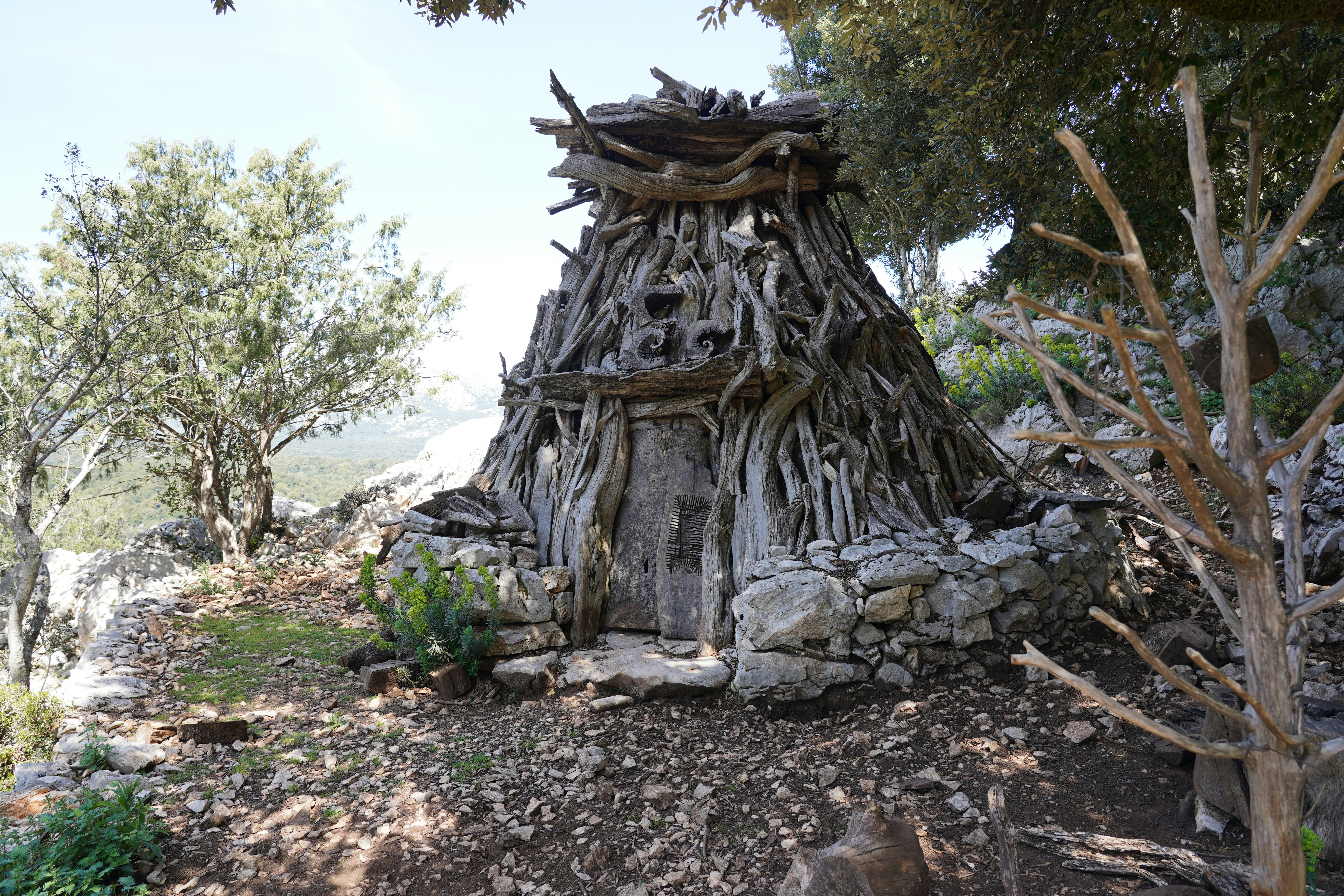 Une cabane rustique en bois se dresse au milieu des arbres.