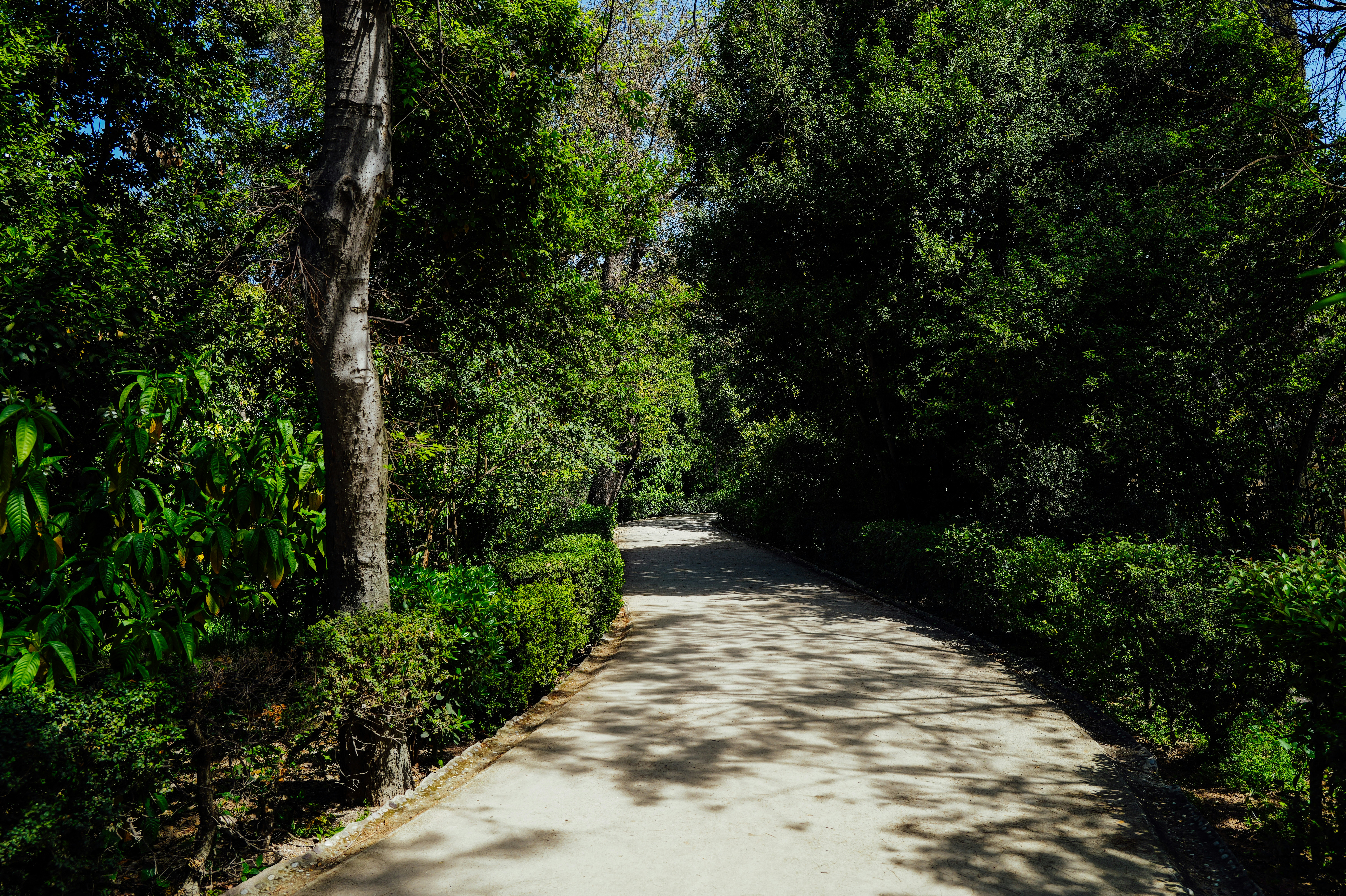 Photo by adrienolichon