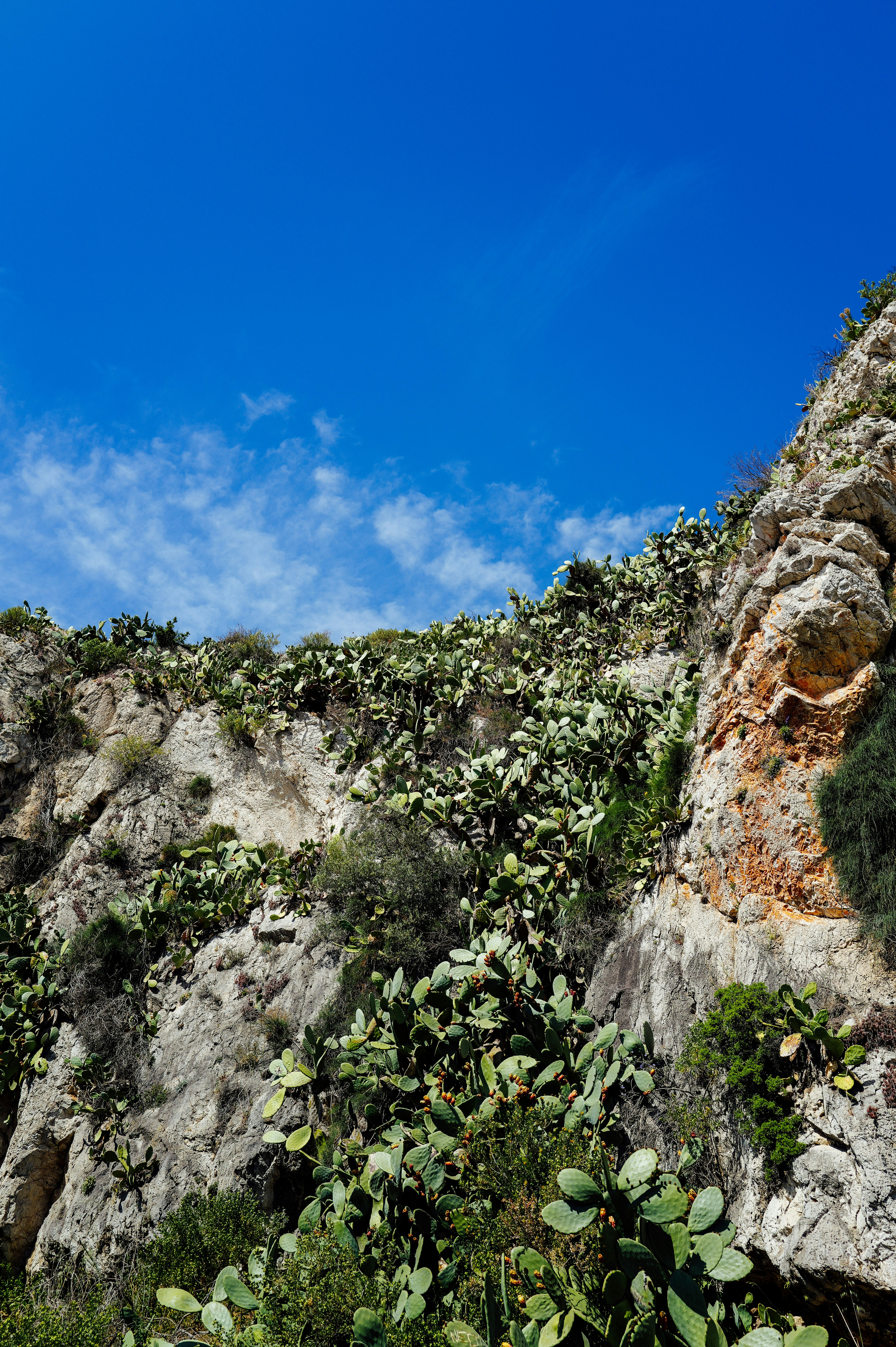 Photo by adrienolichon