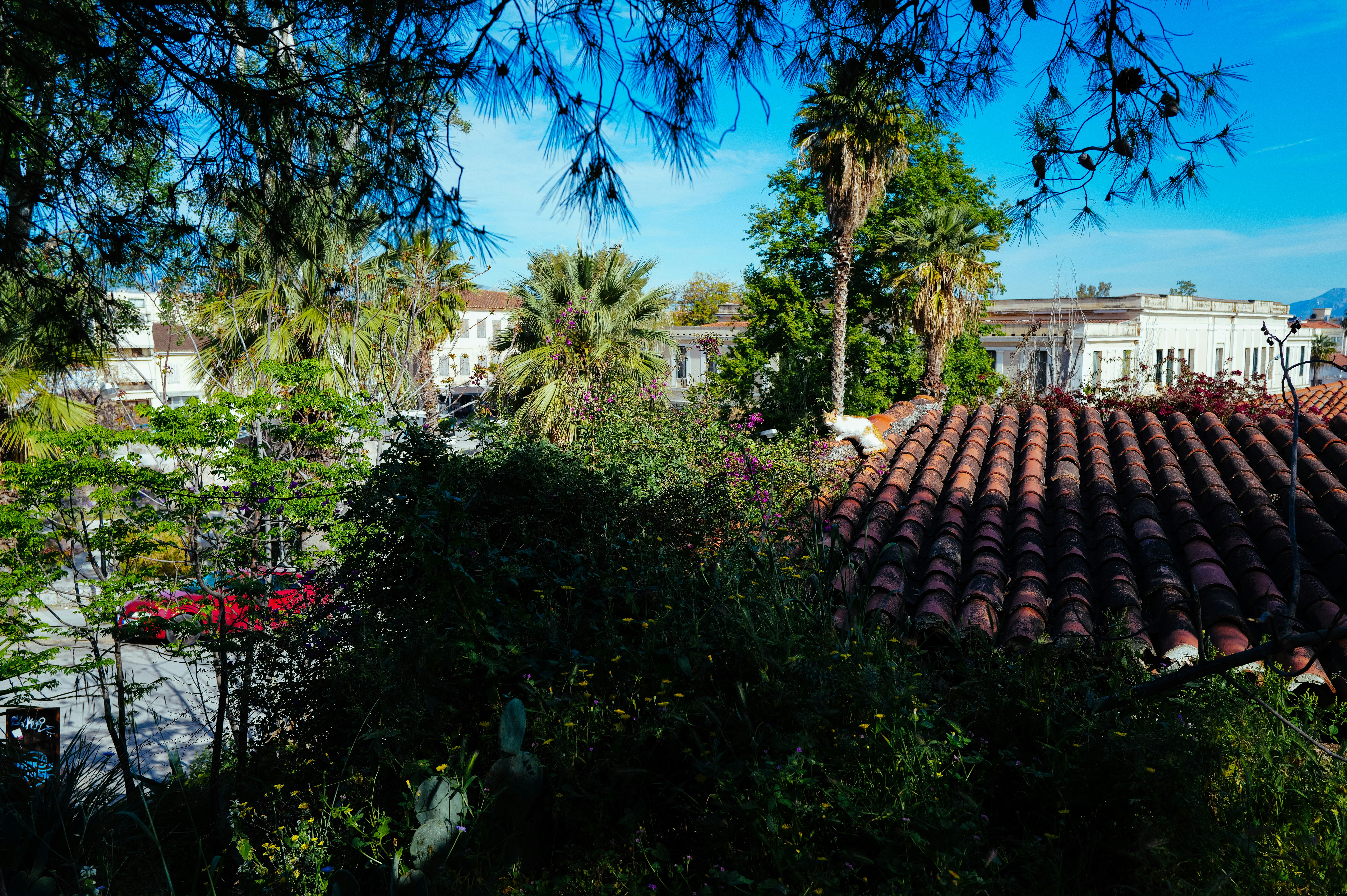 Photo by adrienolichon