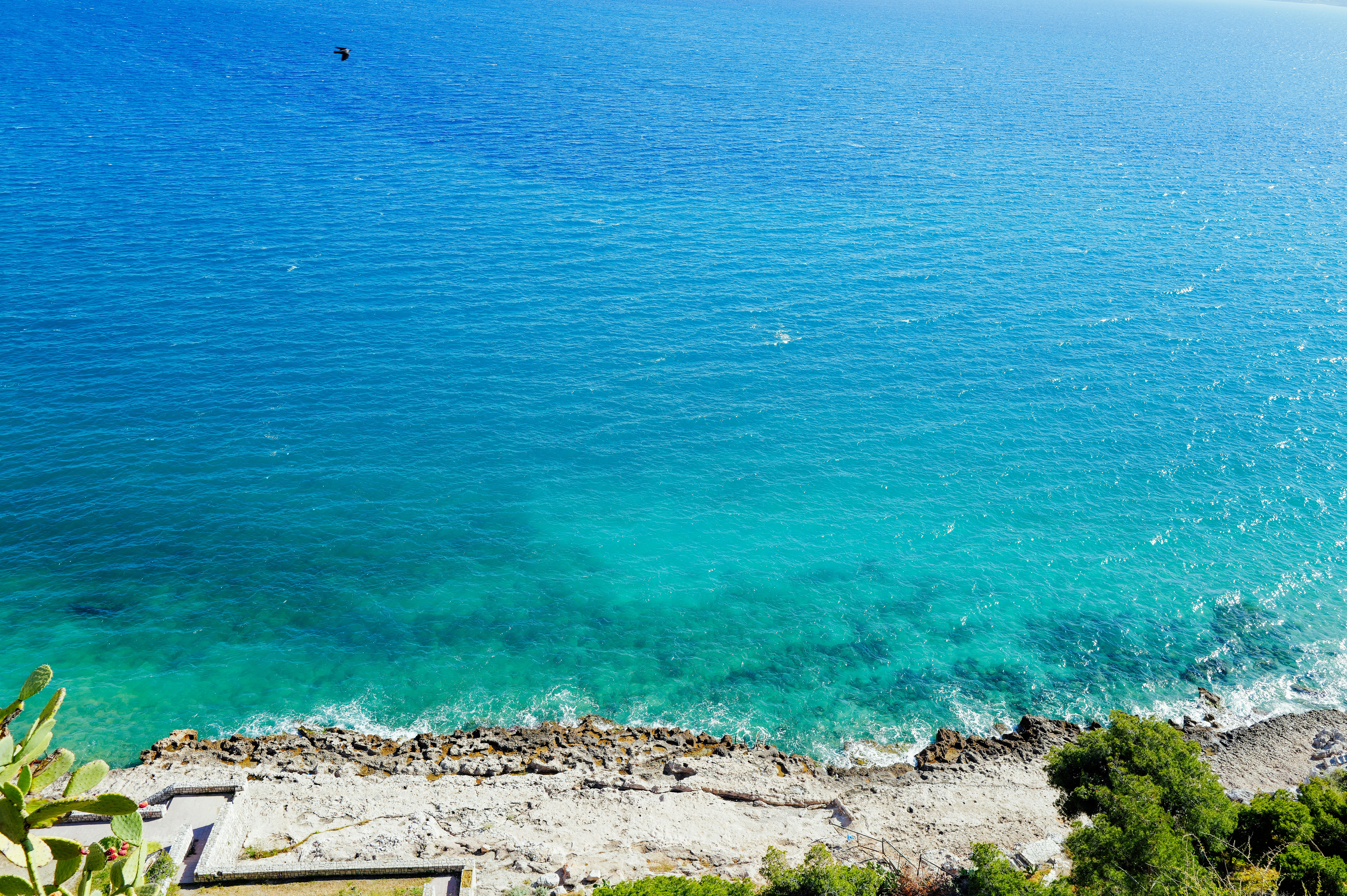 Photo by adrienolichon