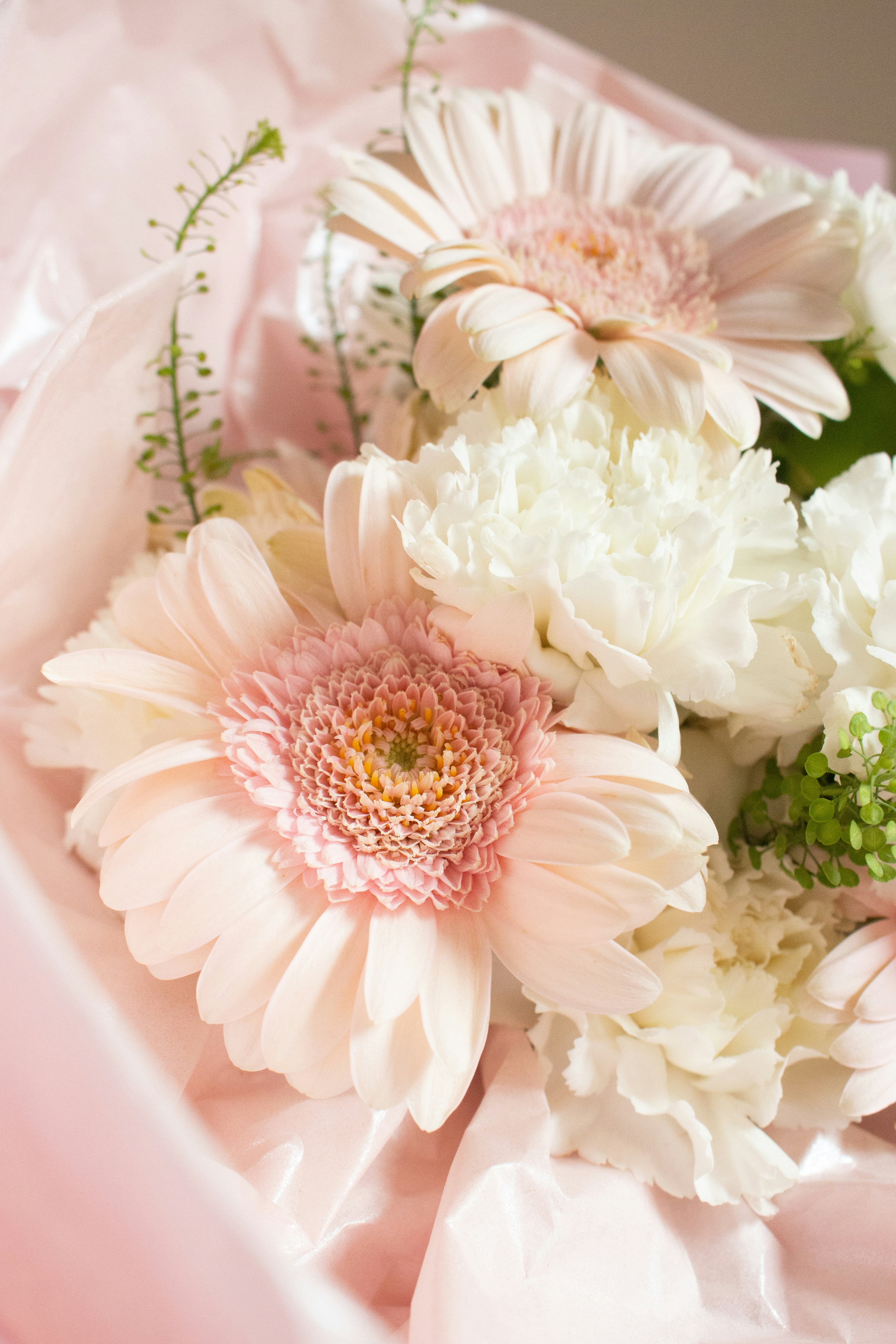 Photo by wildgreyice