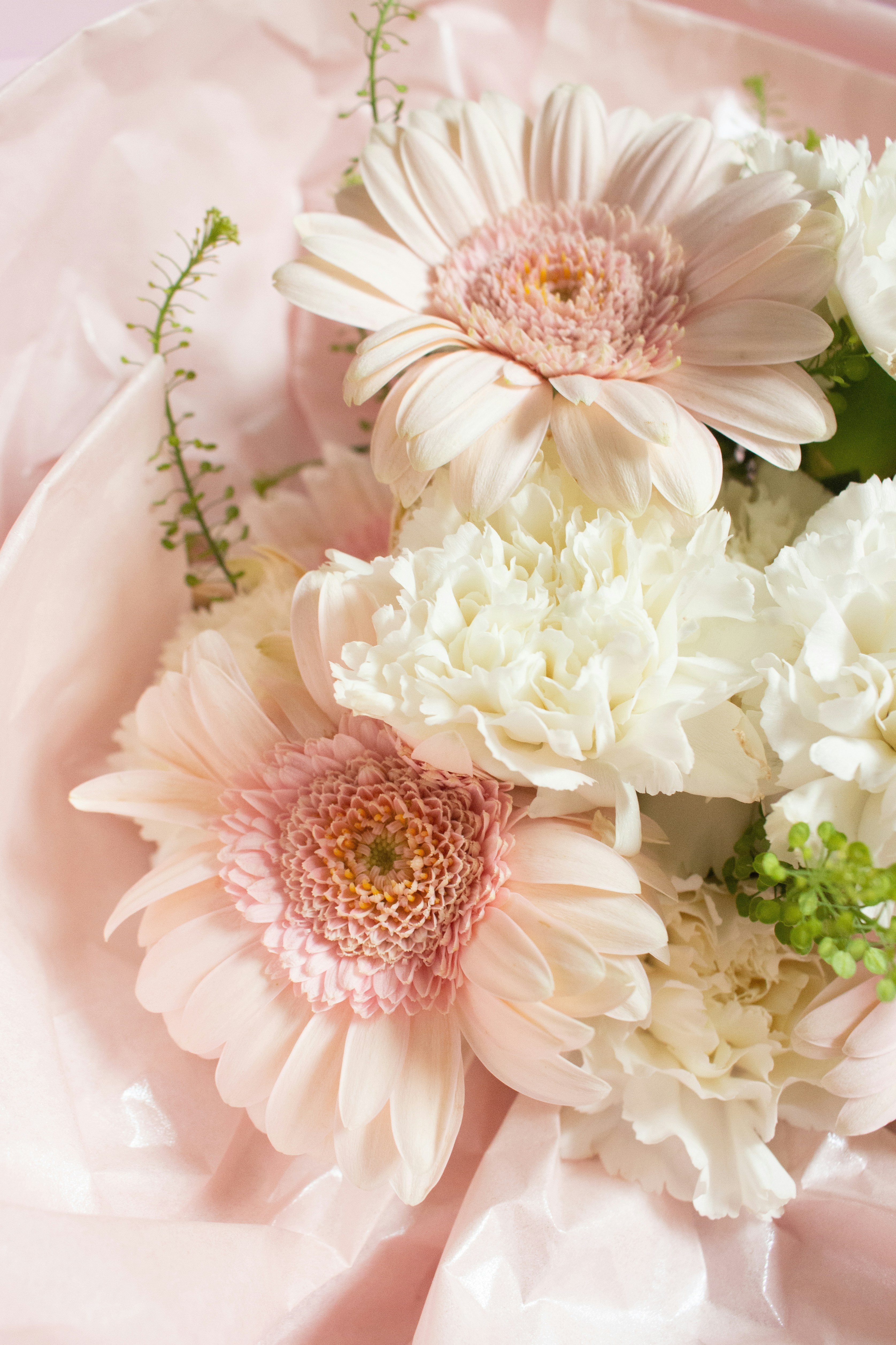 Photo by wildgreyice