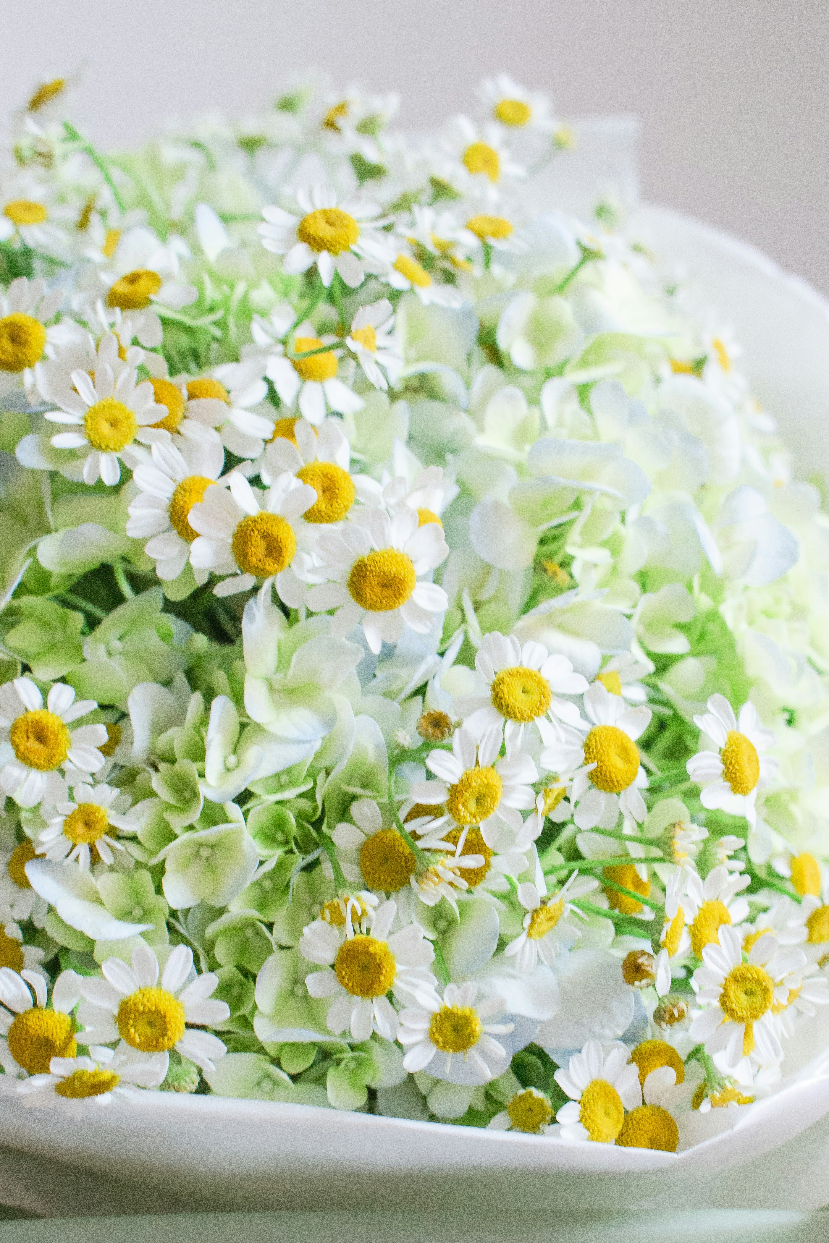 Photo by wildgreyice