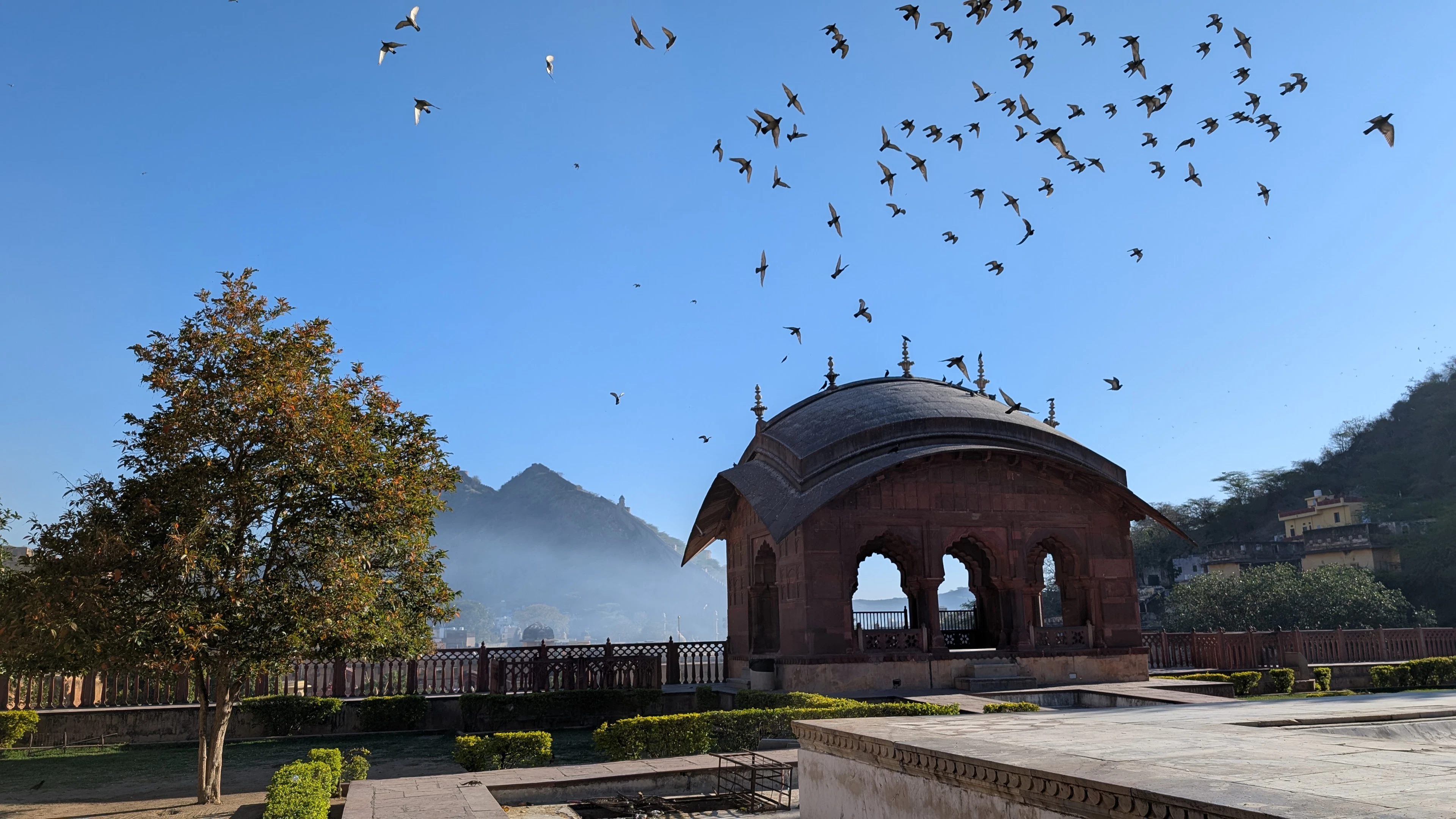 A stone chattri pavilion above Jaipur at dawn, birds wheeling over misty hills beyond.