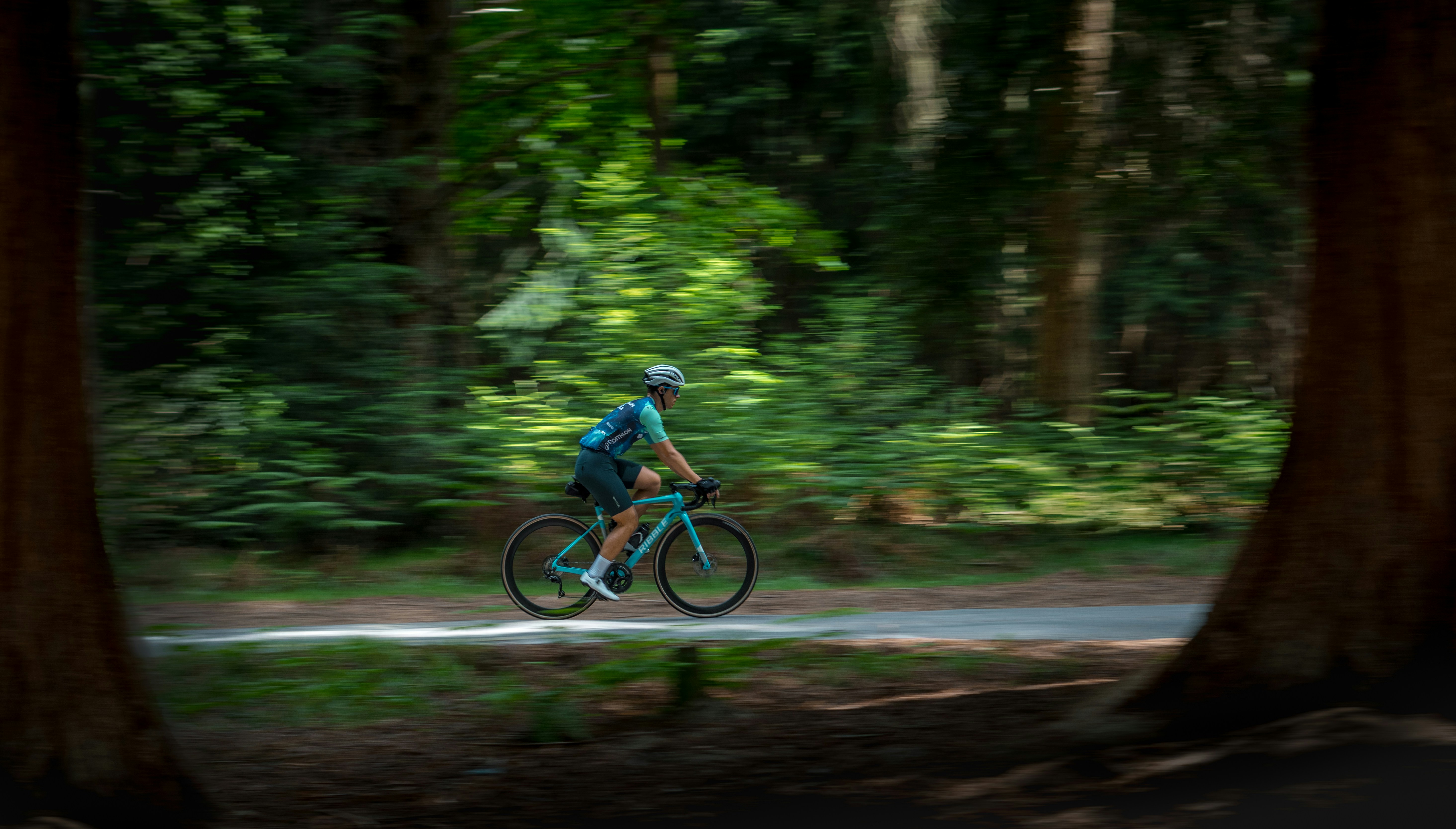 Cyclist rides a bike on a road in a forest.