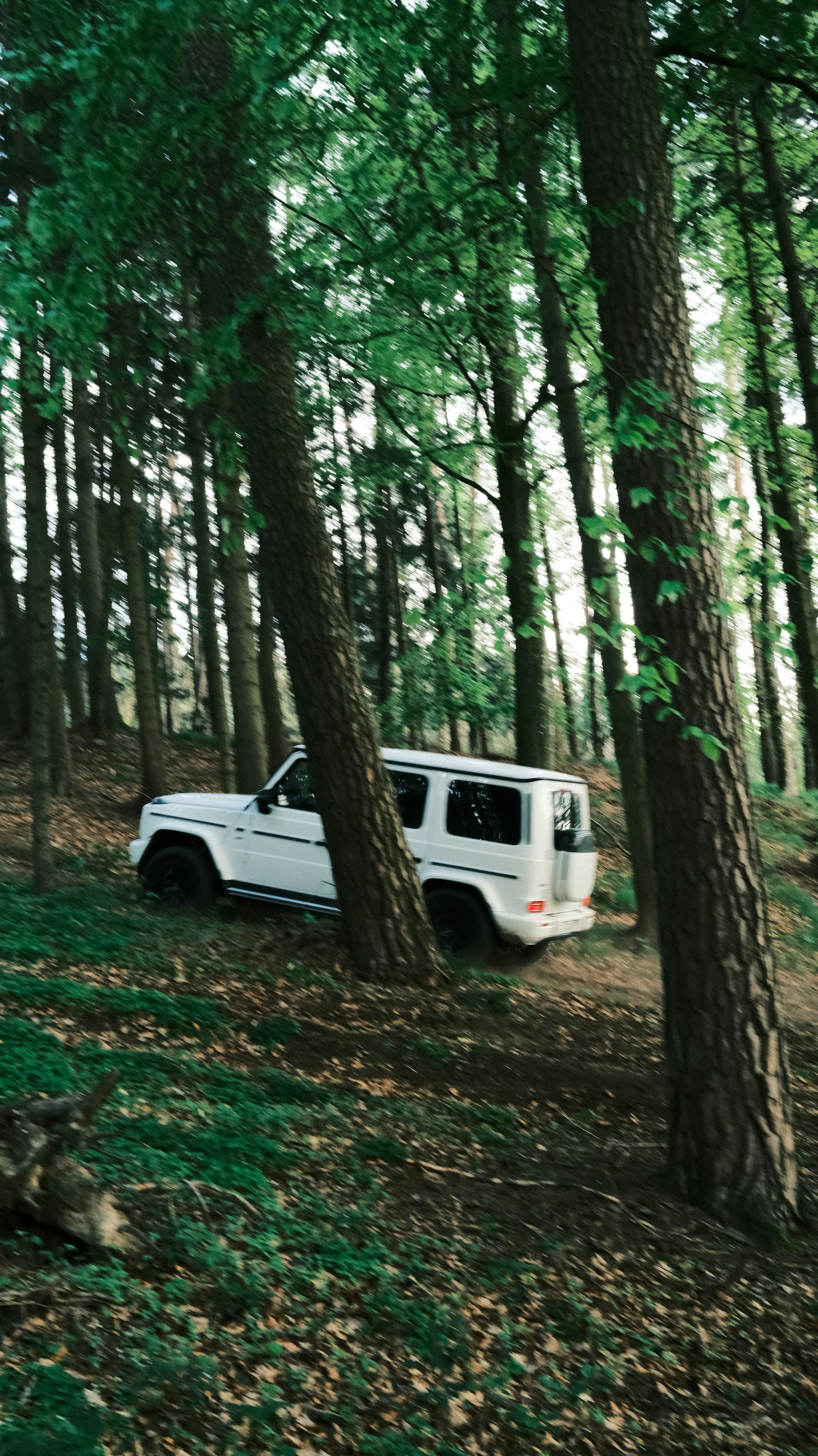 Photo by branislavrodman