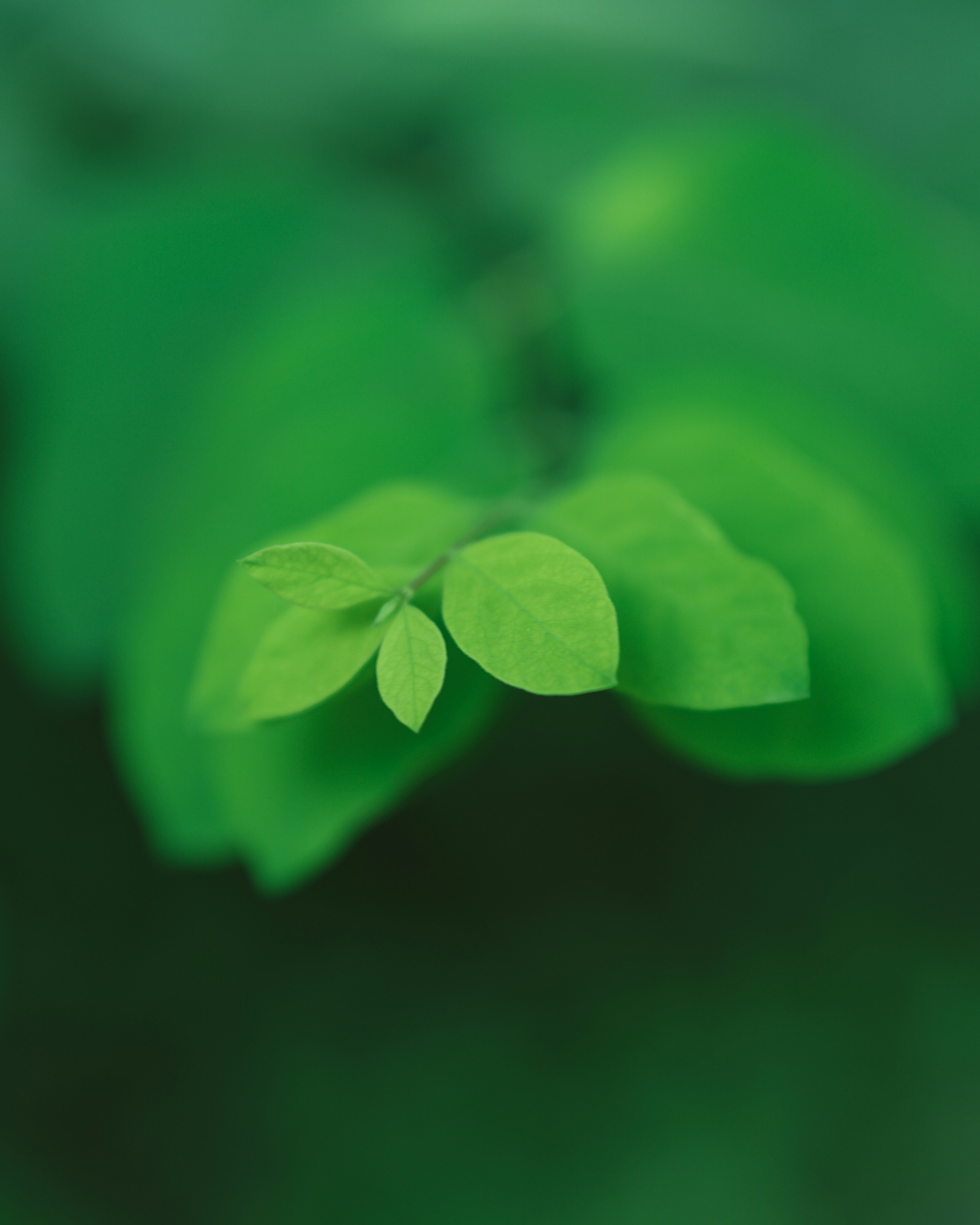 Photo by bangscreative