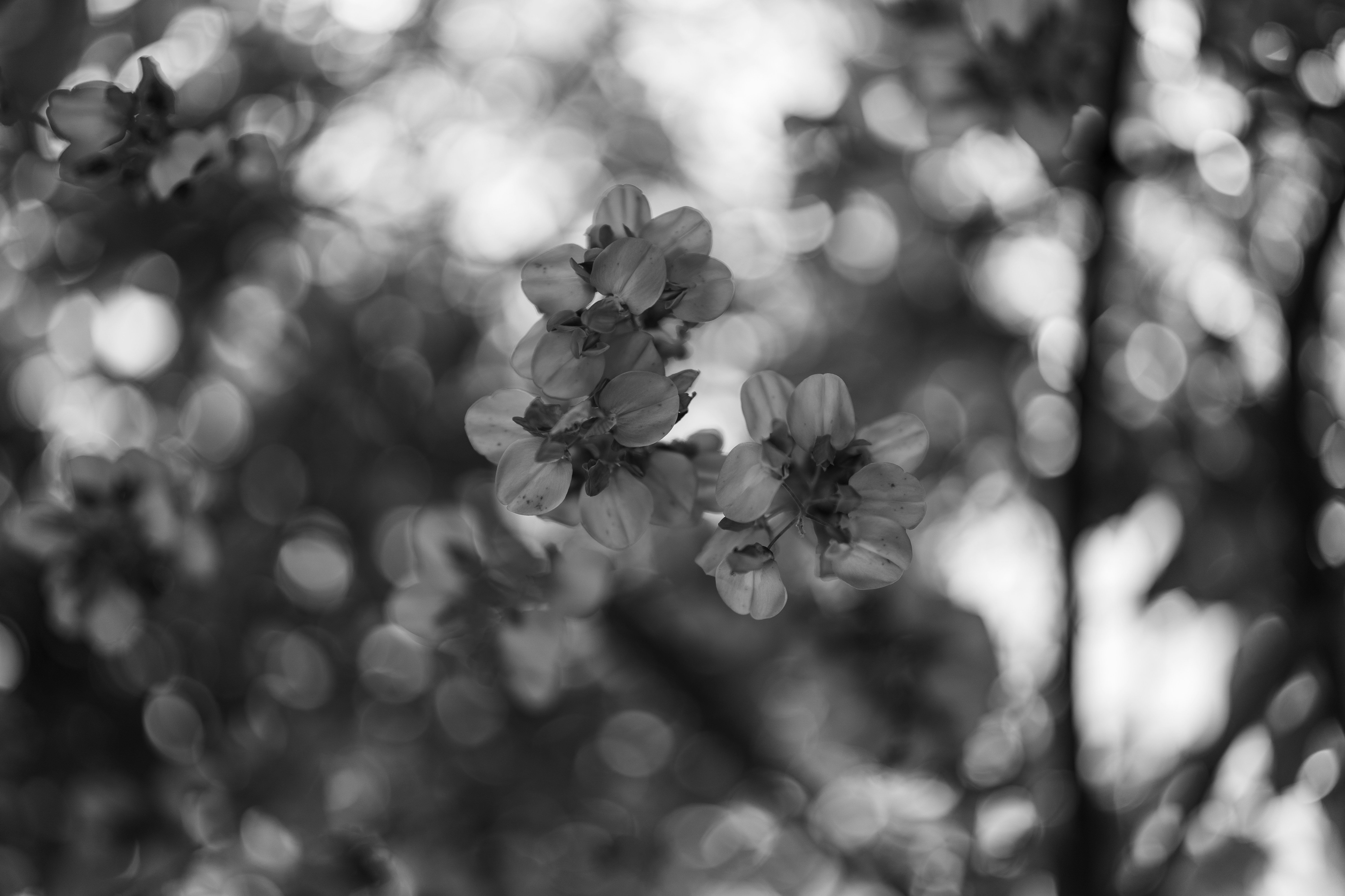 Photo by bangscreative