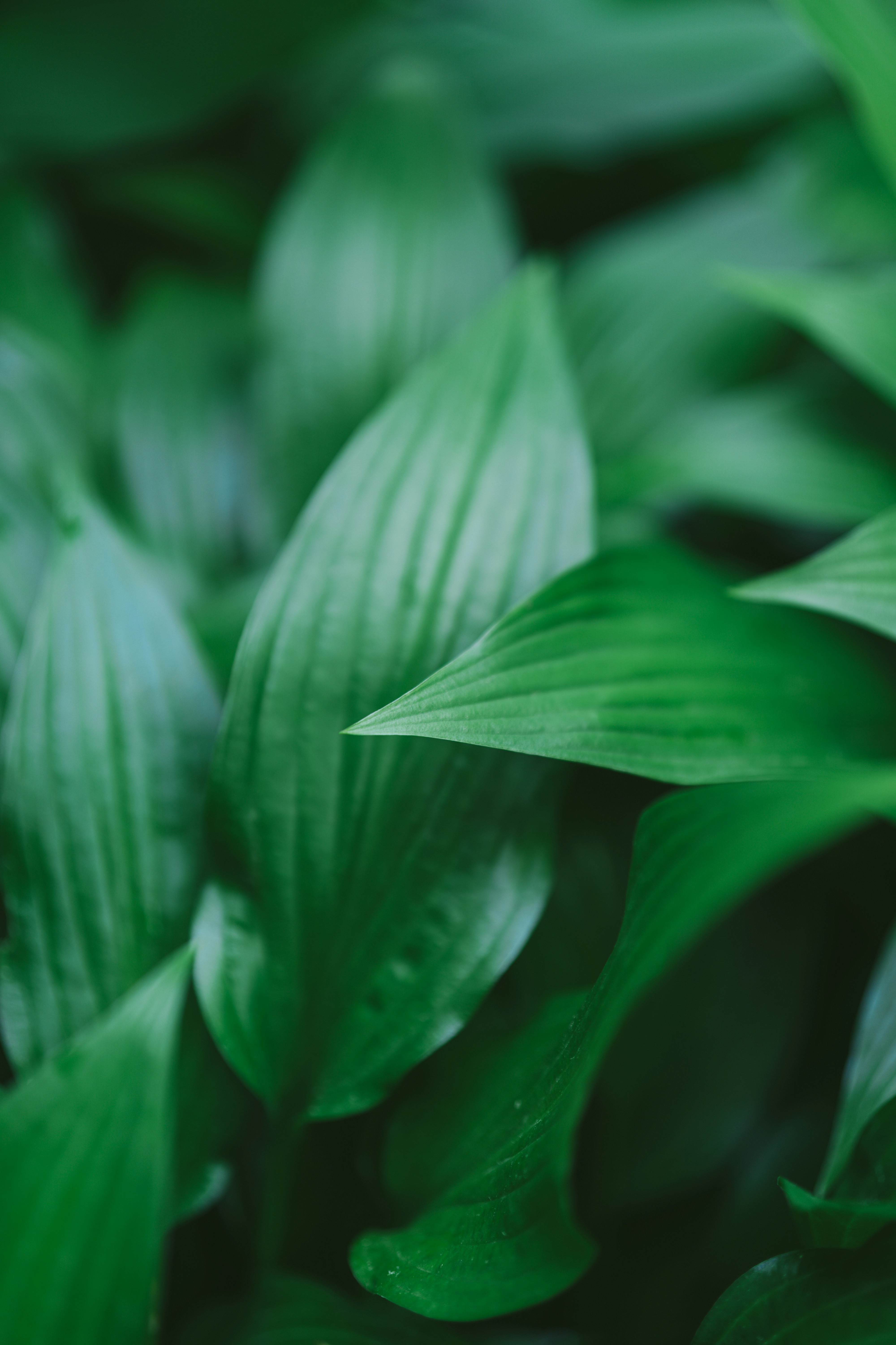 Photo by bangscreative