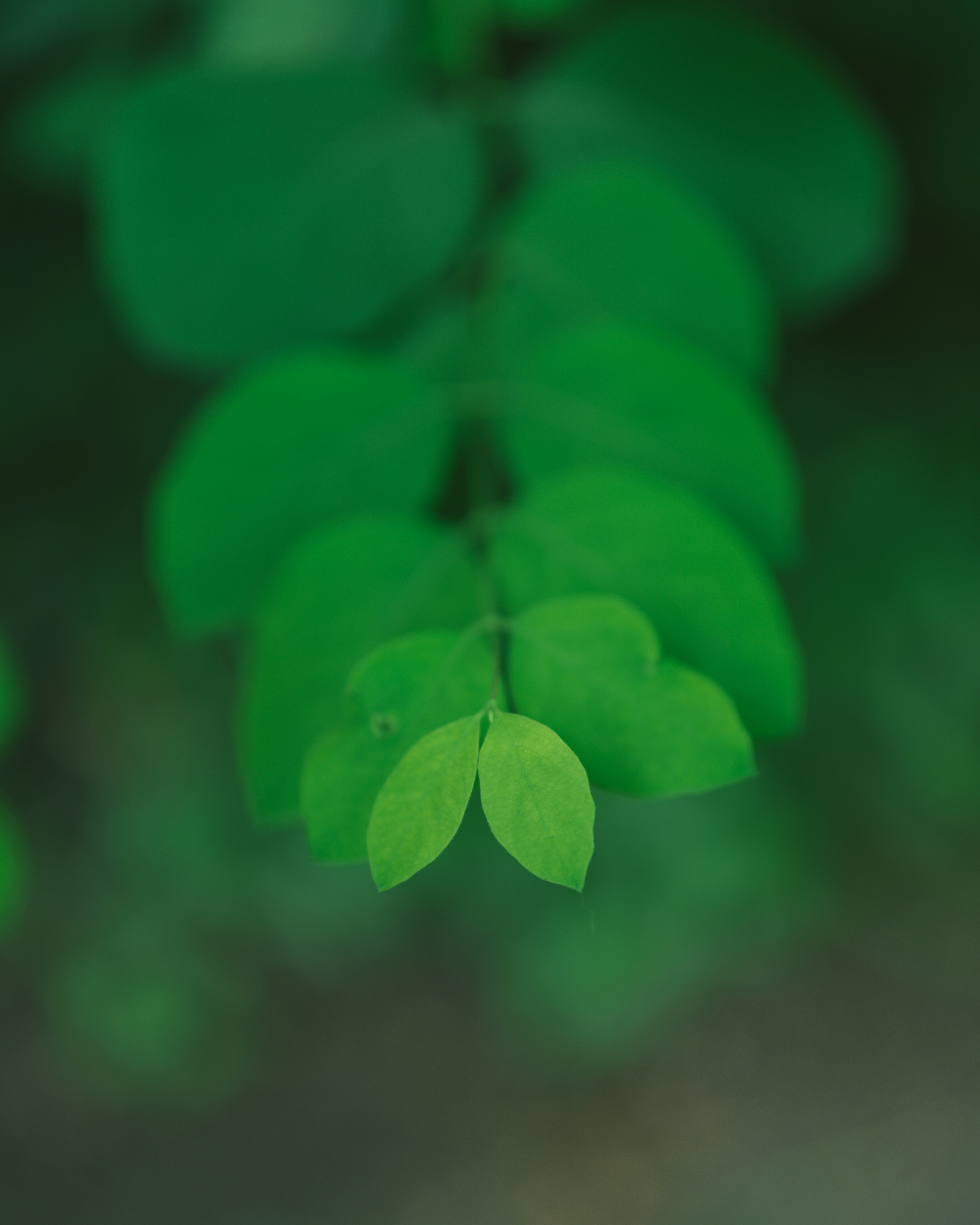 Photo by bangscreative