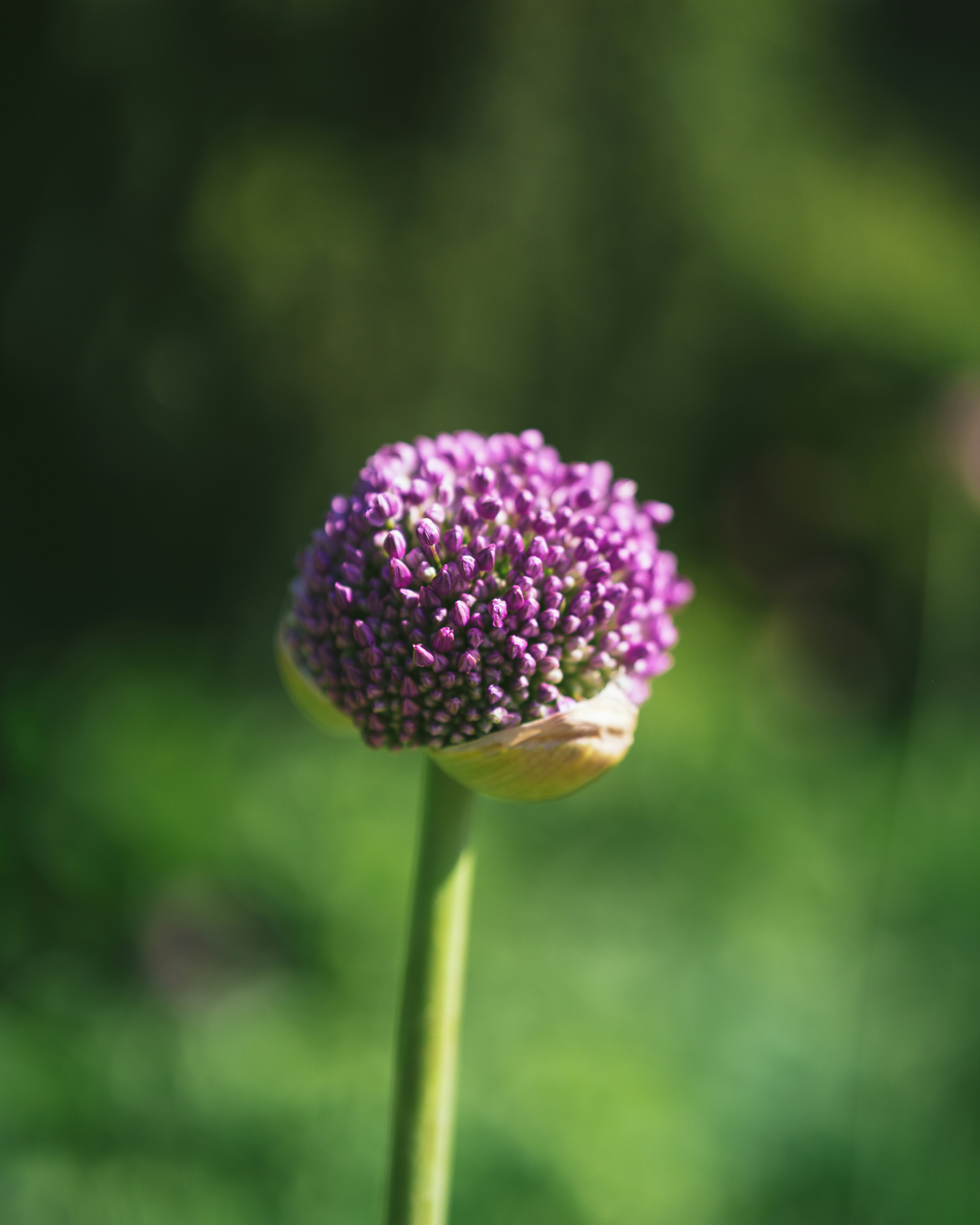 Photo by bangscreative