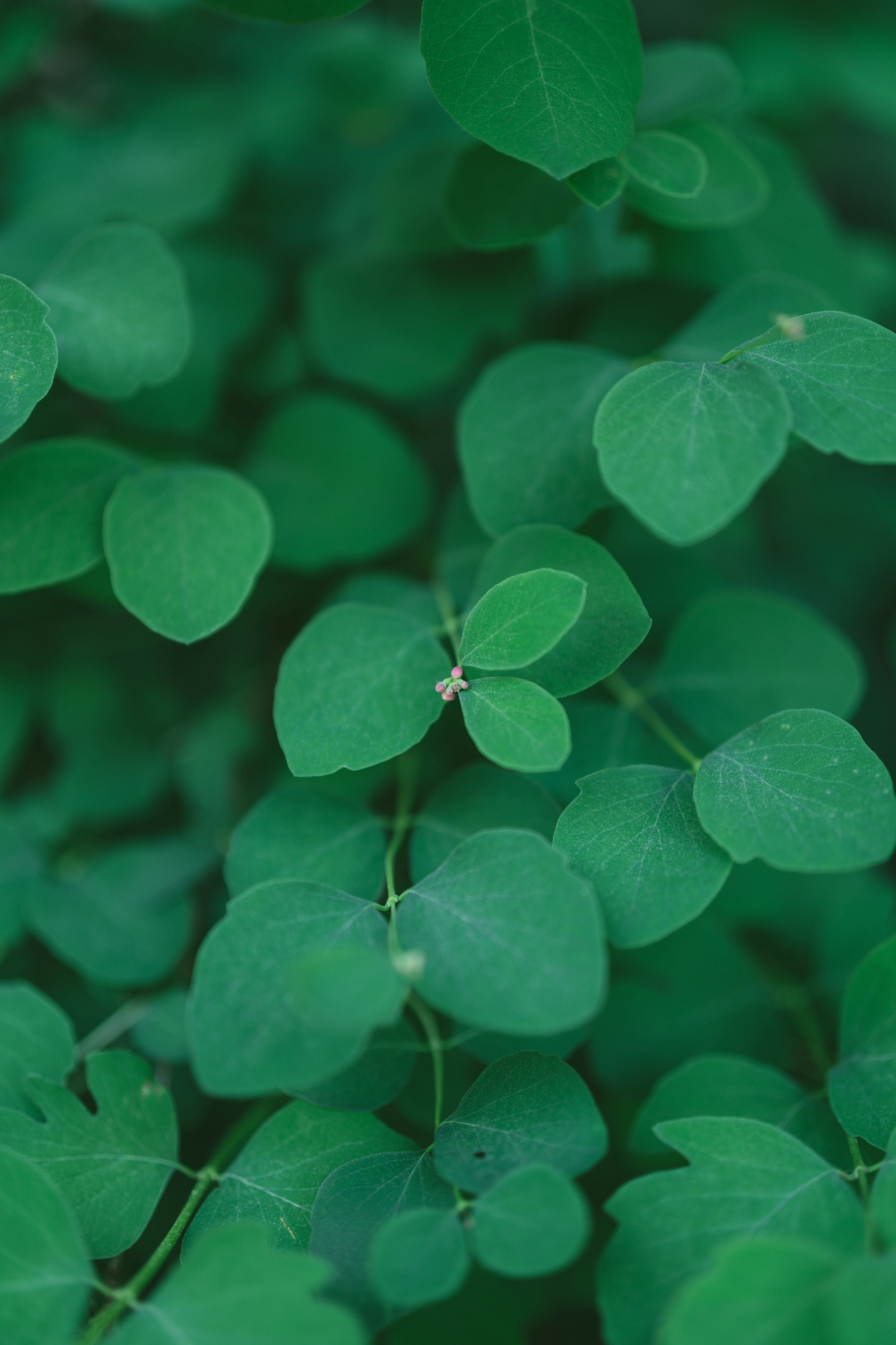 Photo by bangscreative