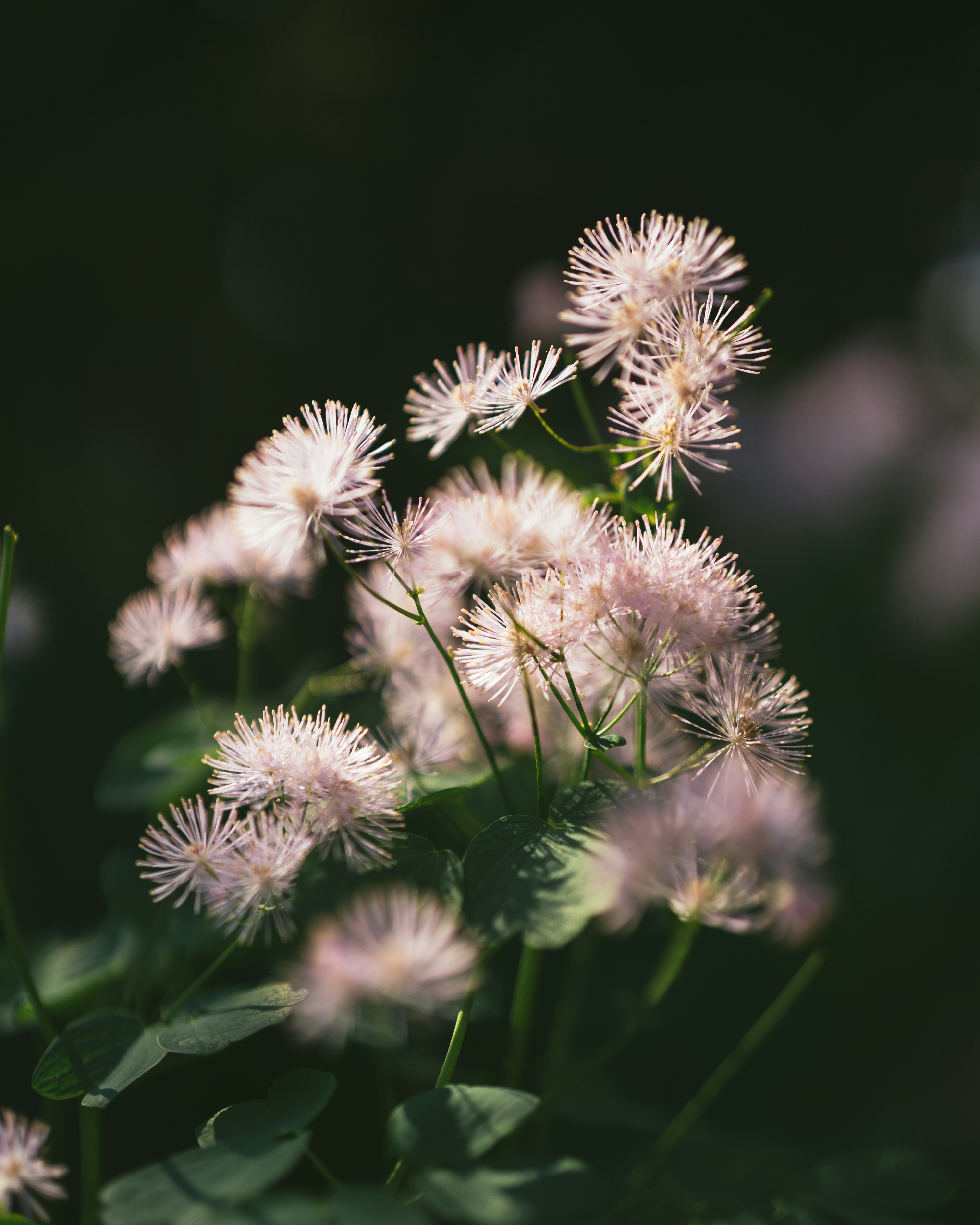 Photo by bangscreative