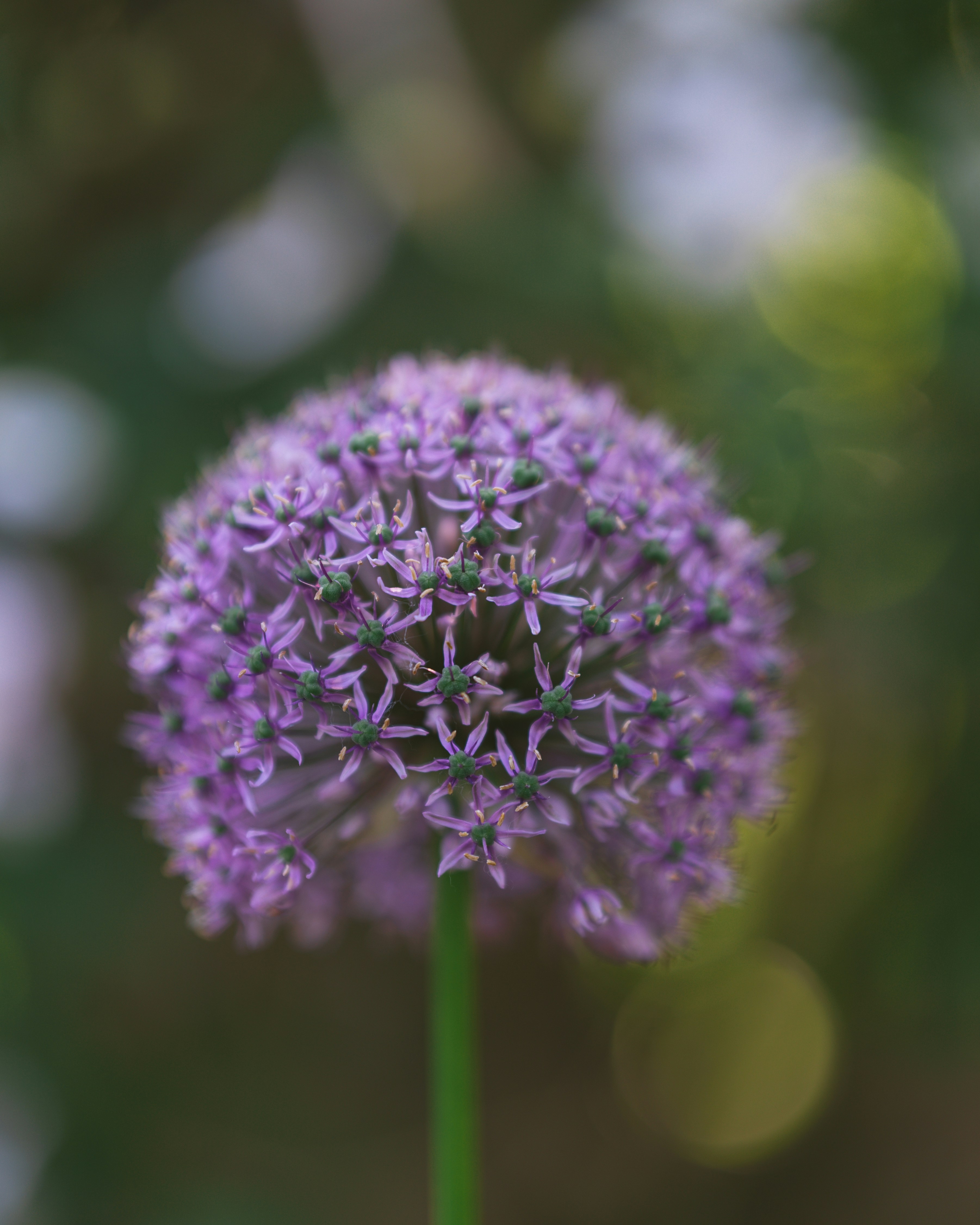 Photo by bangscreative