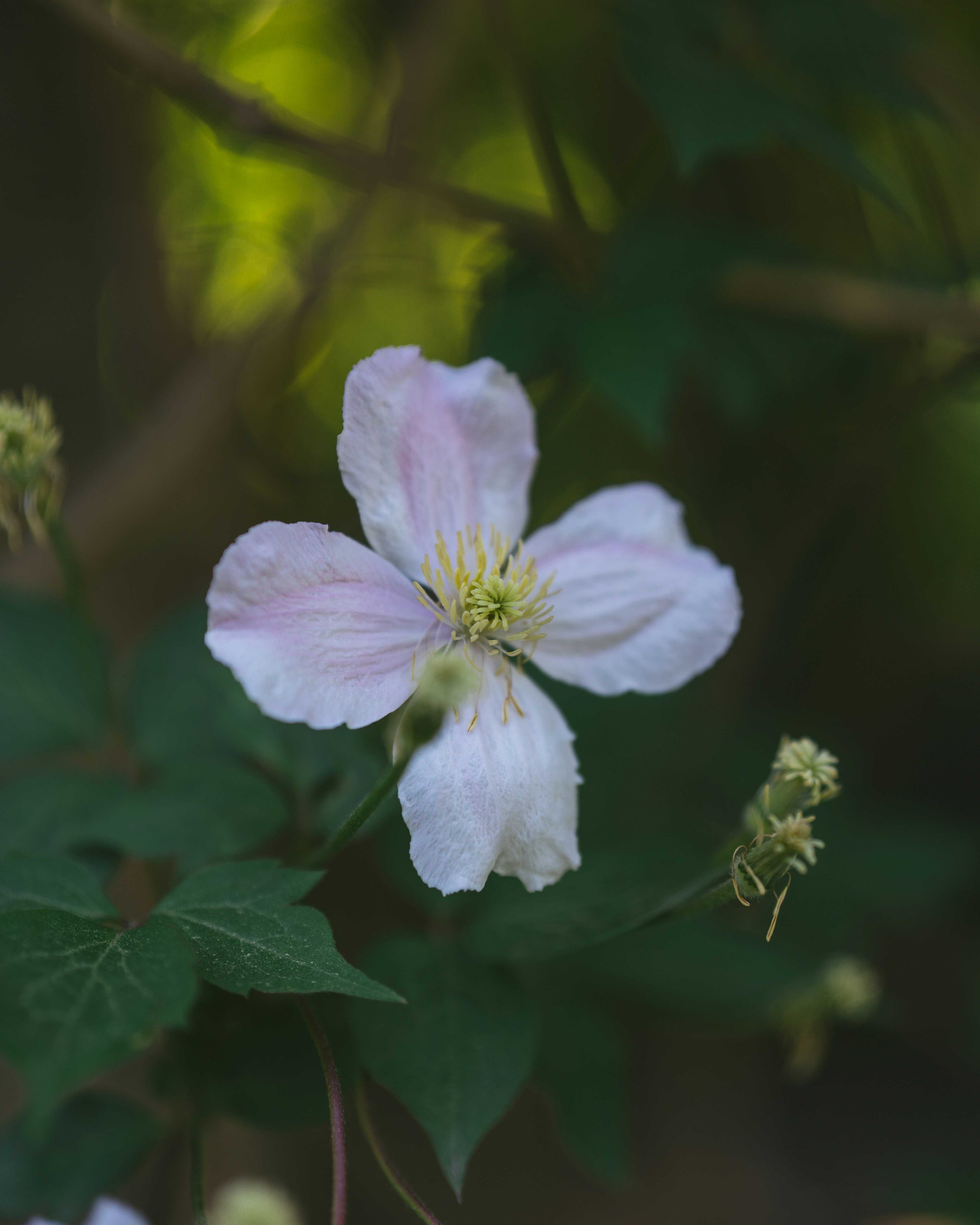 Photo by bangscreative