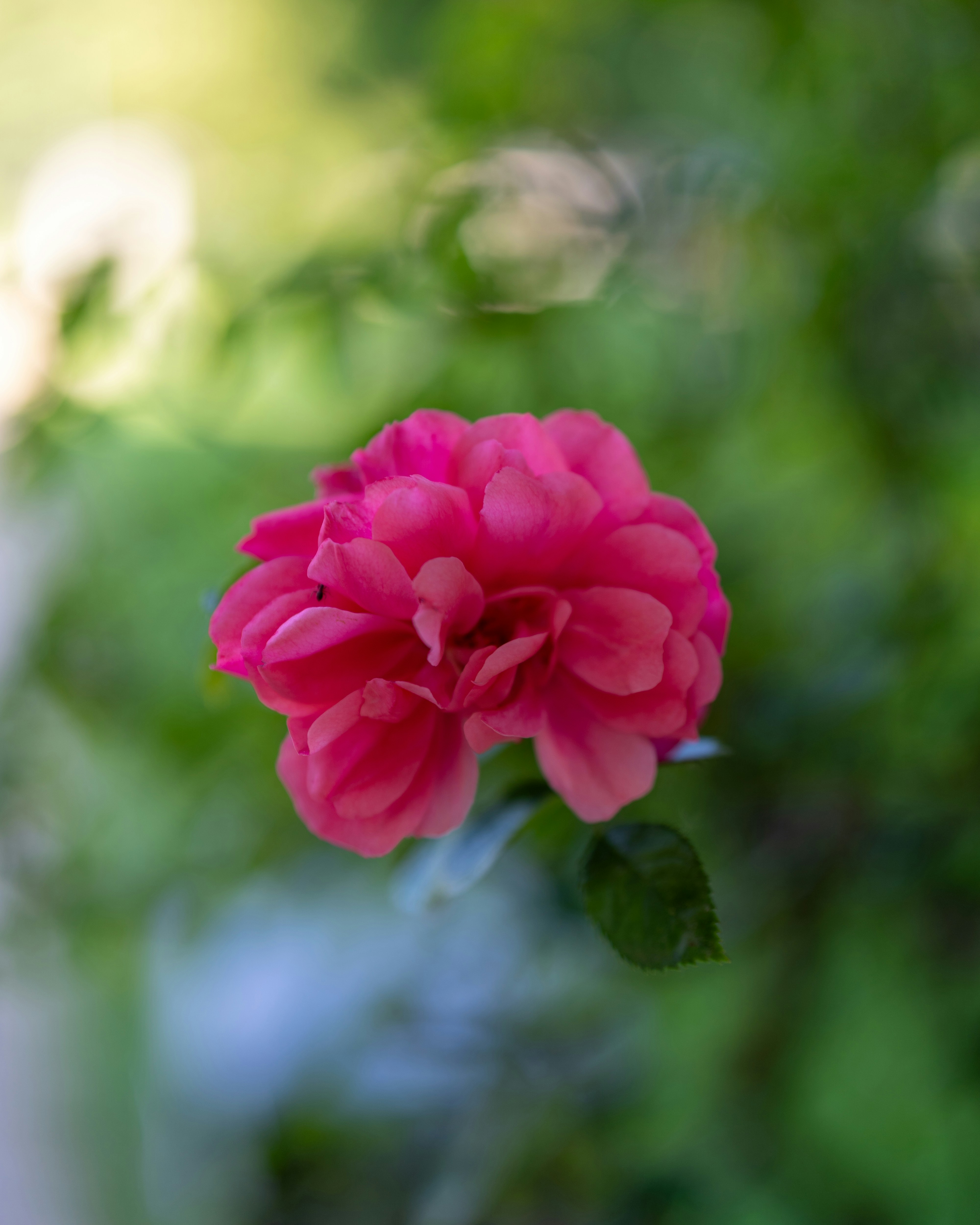 Photo by bangscreative