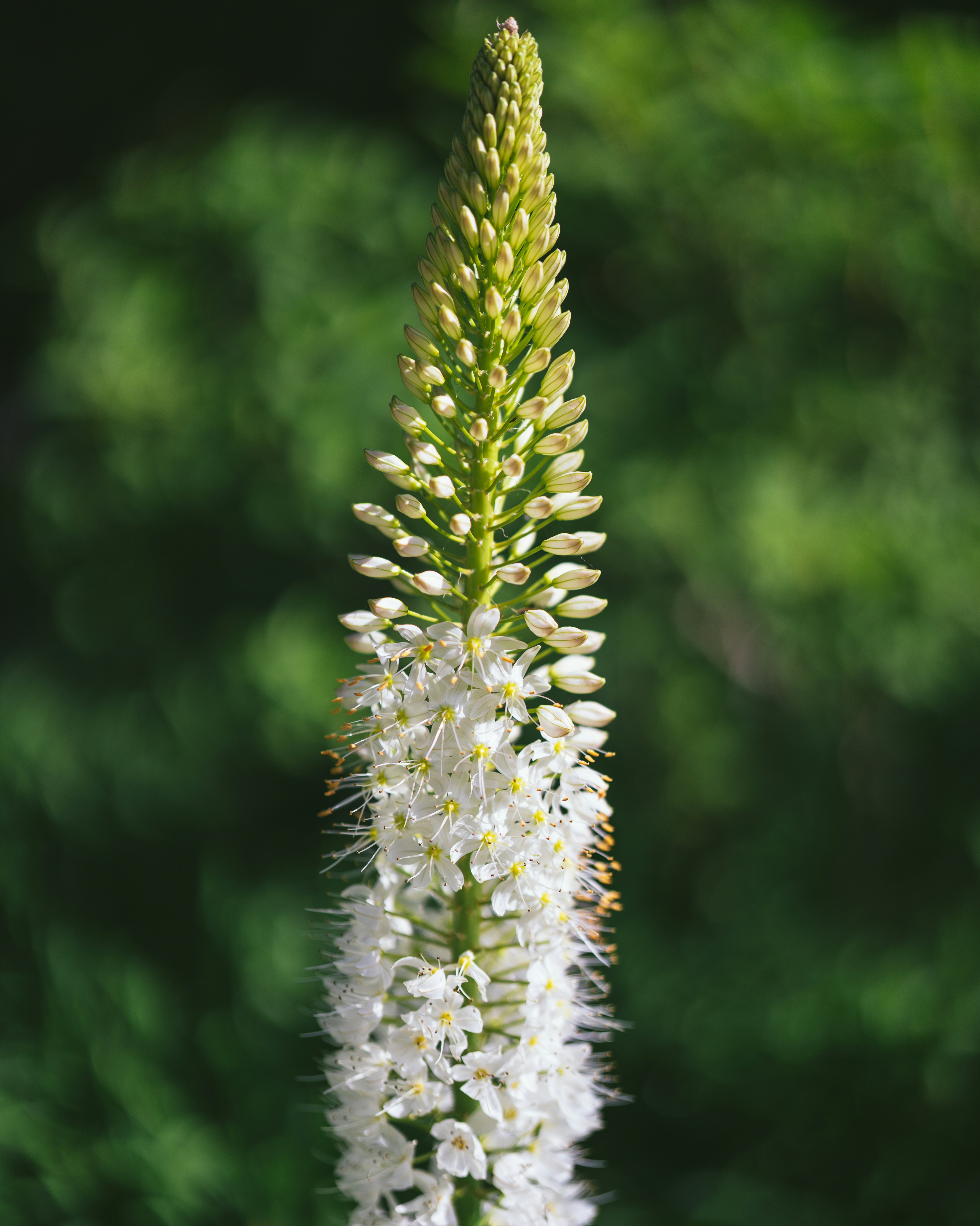 Photo by bangscreative