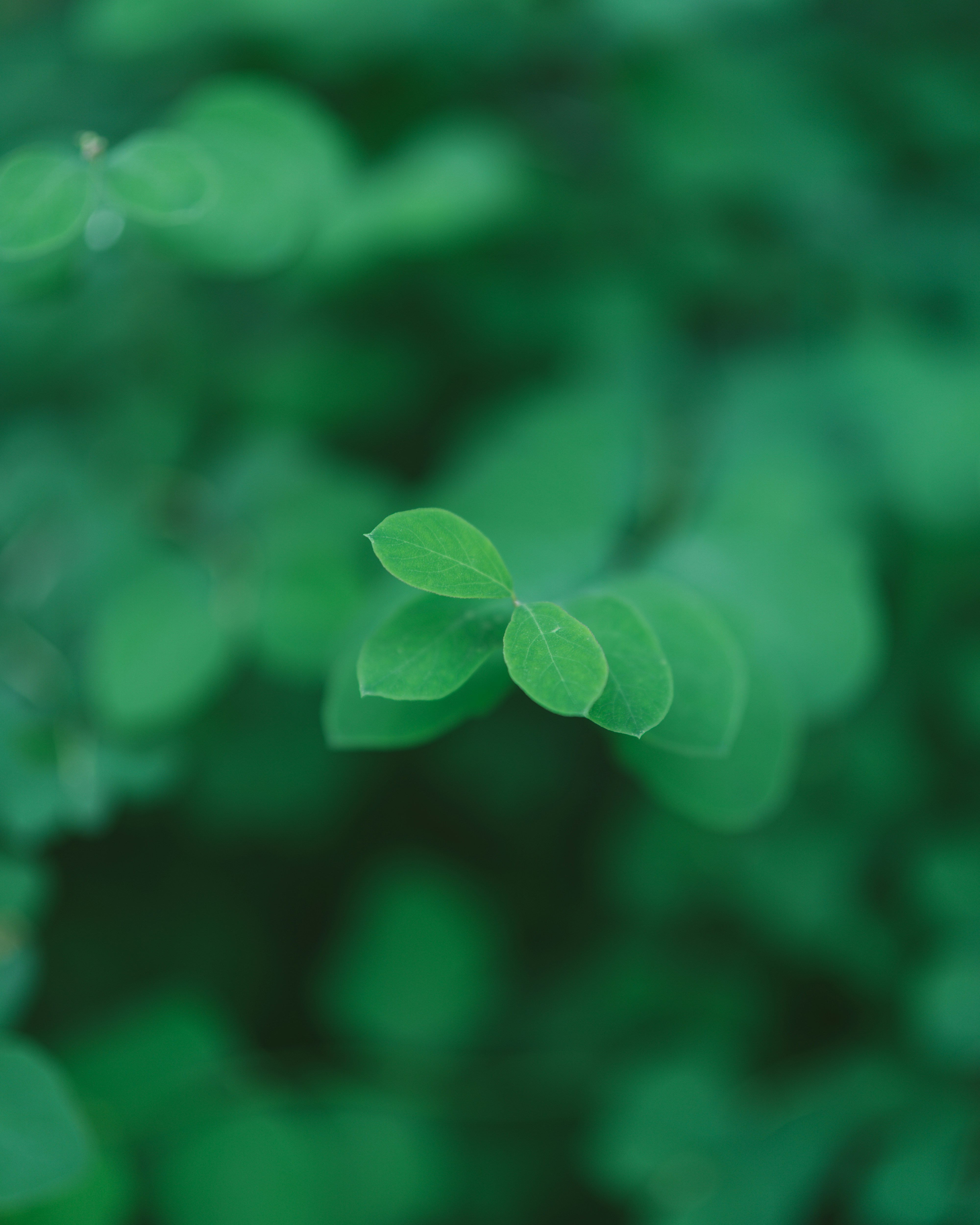 Photo by bangscreative