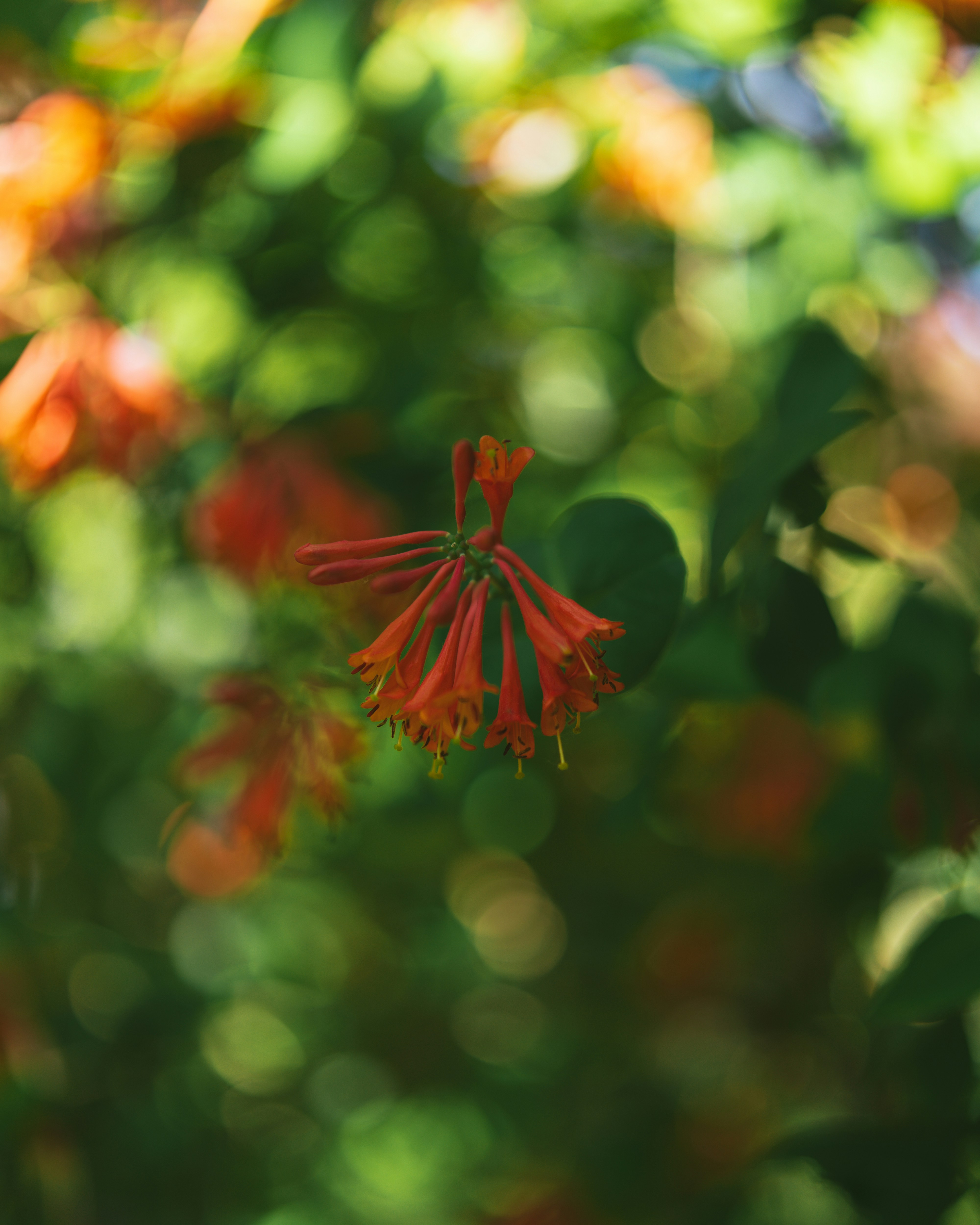 Photo by bangscreative