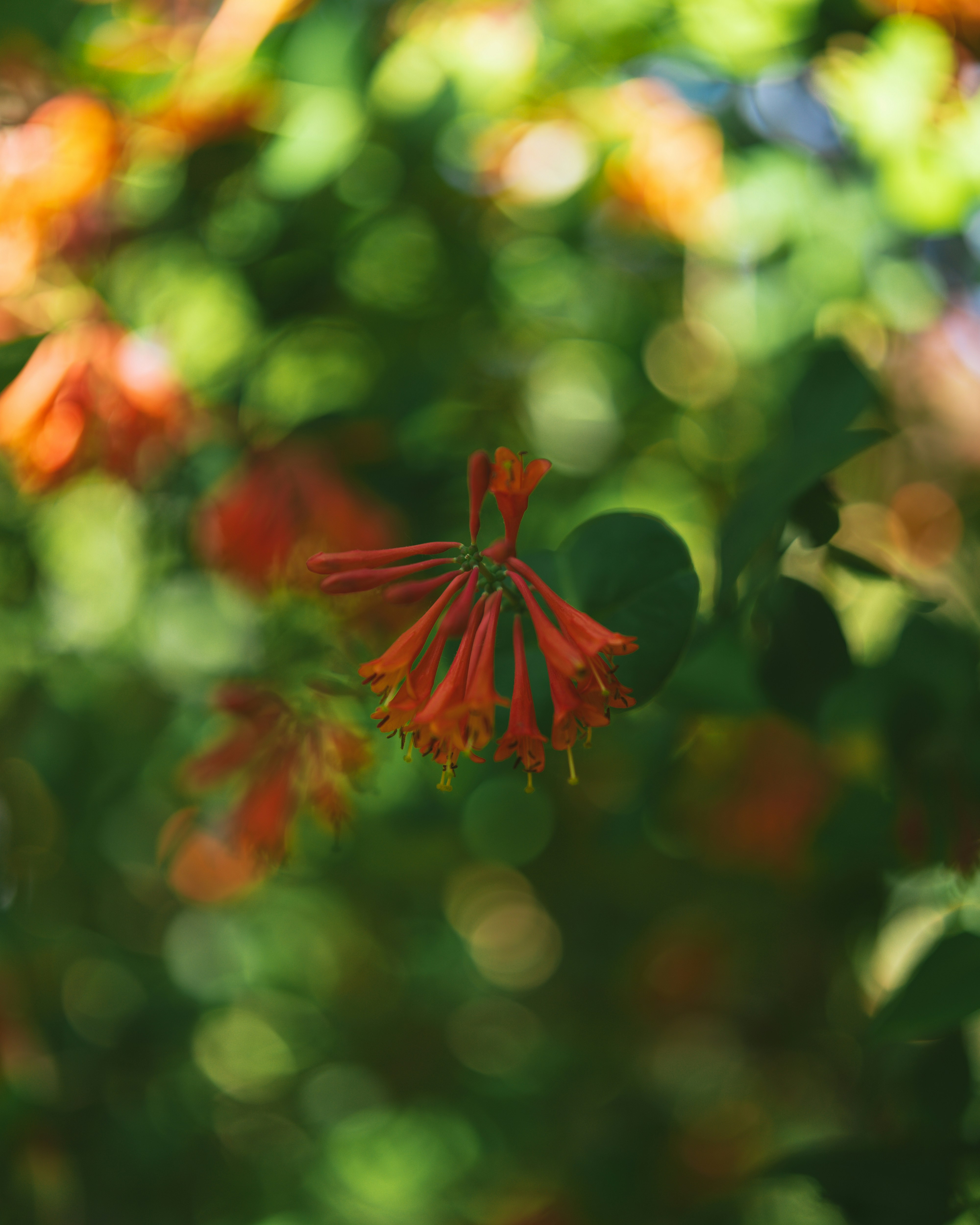 Photo by bangscreative