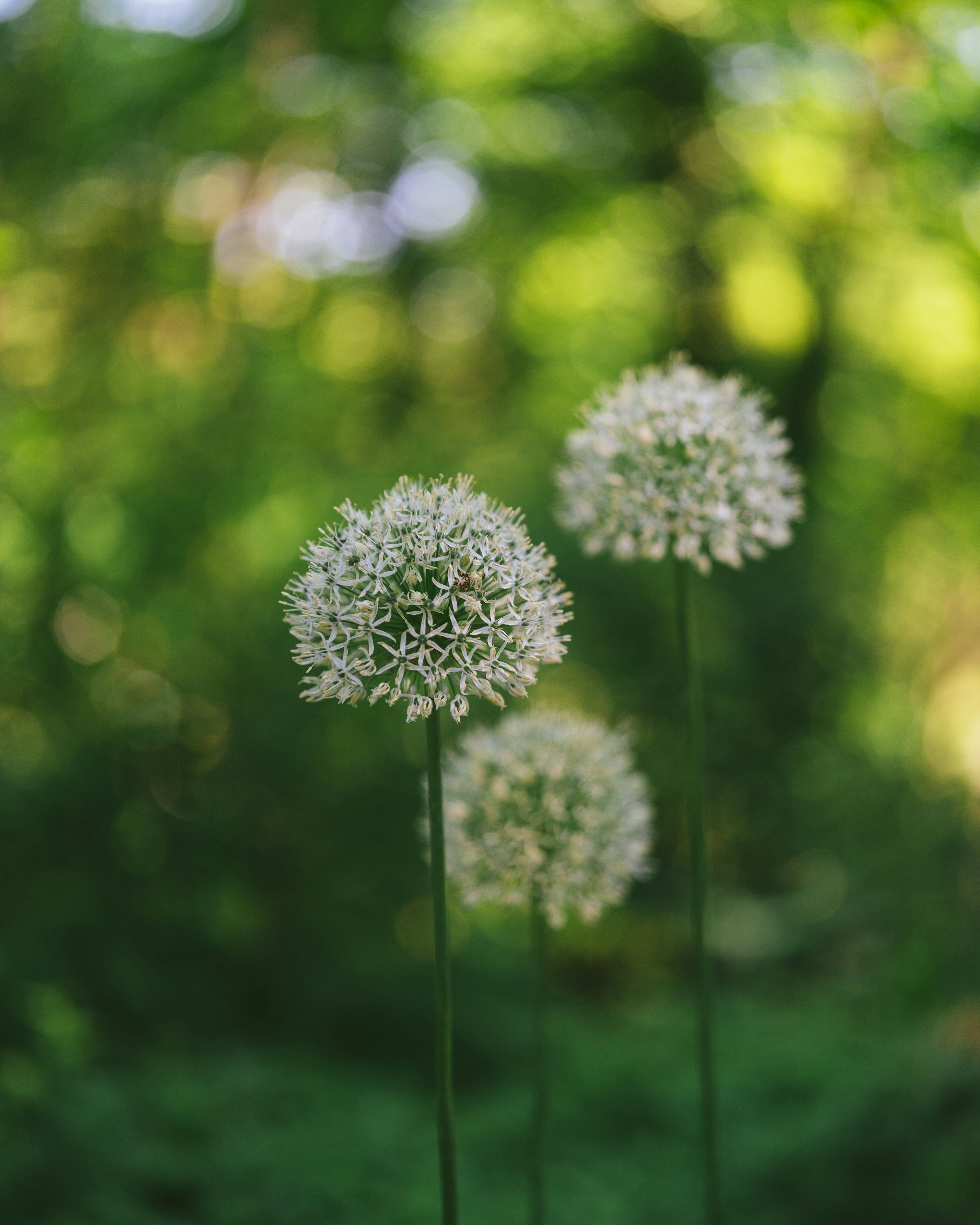 Photo by bangscreative