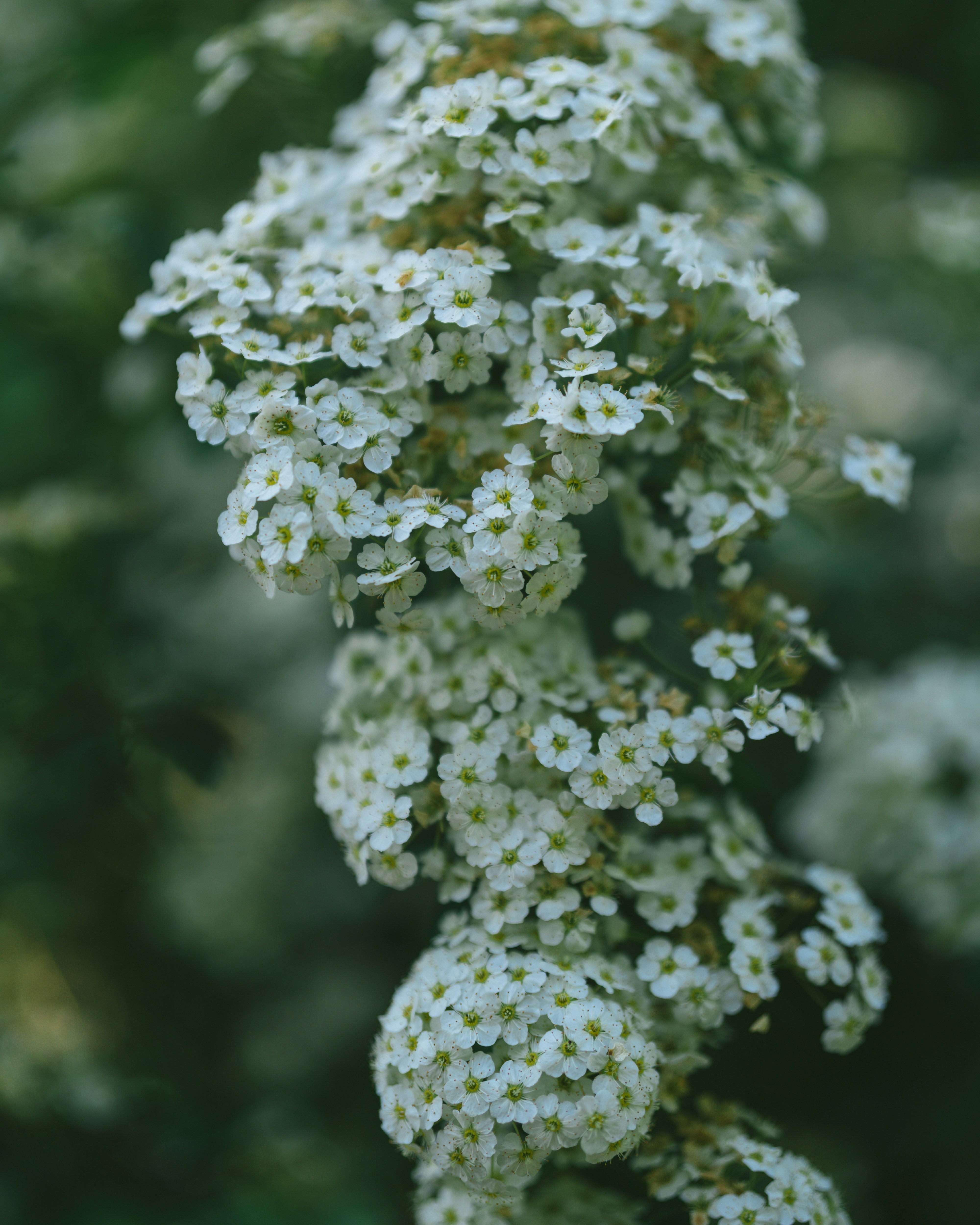 Photo by bangscreative