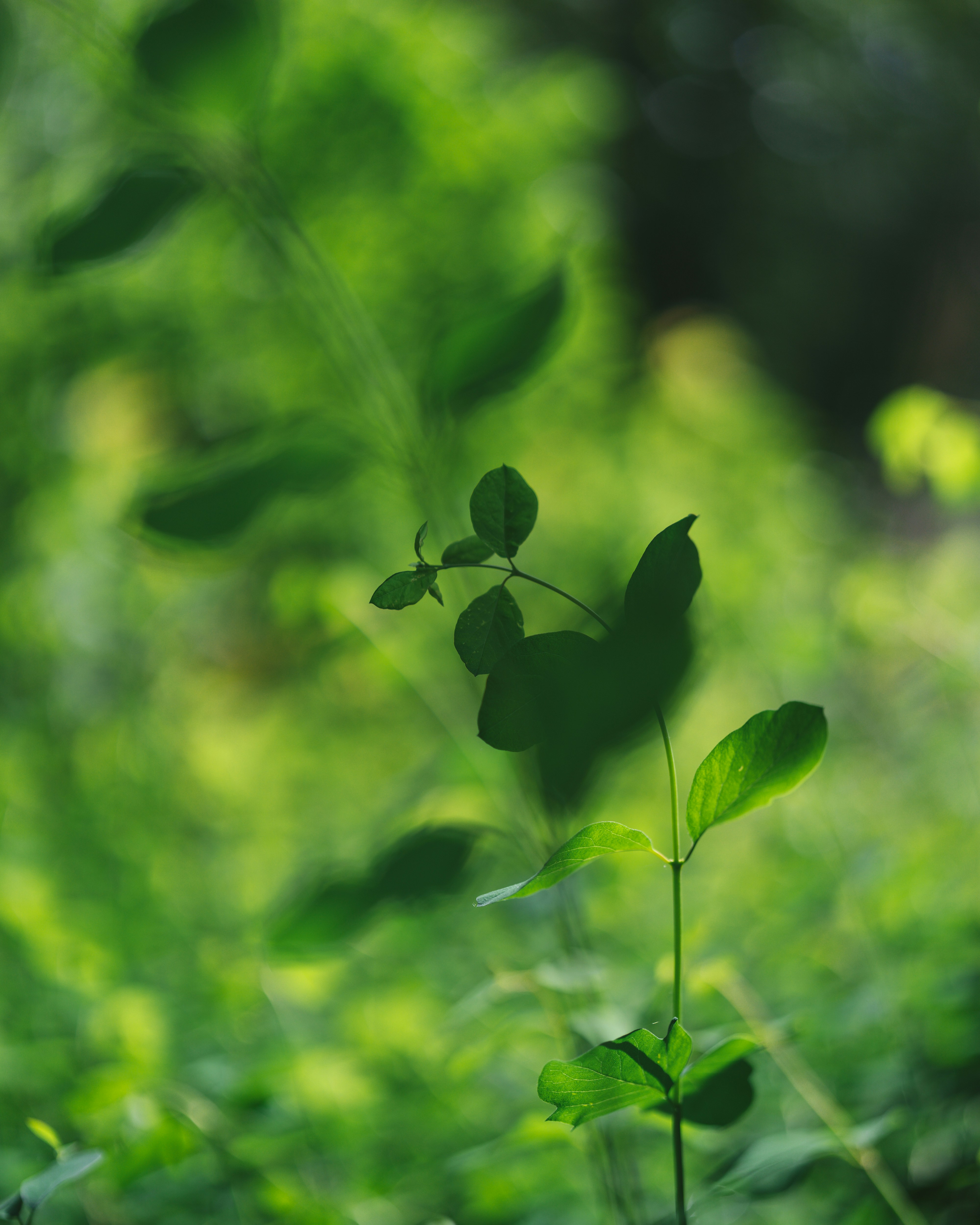 Photo by bangscreative