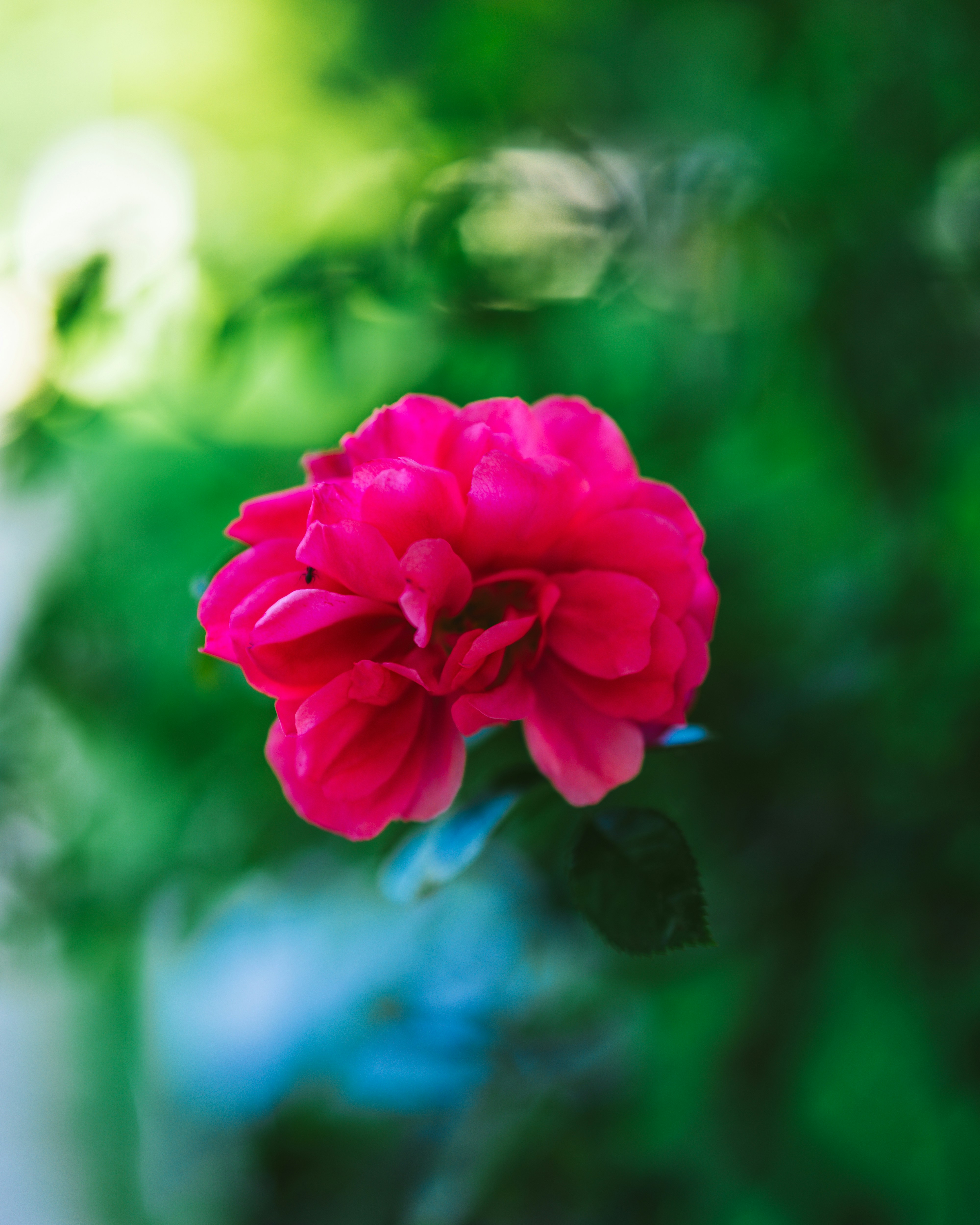 Photo by bangscreative