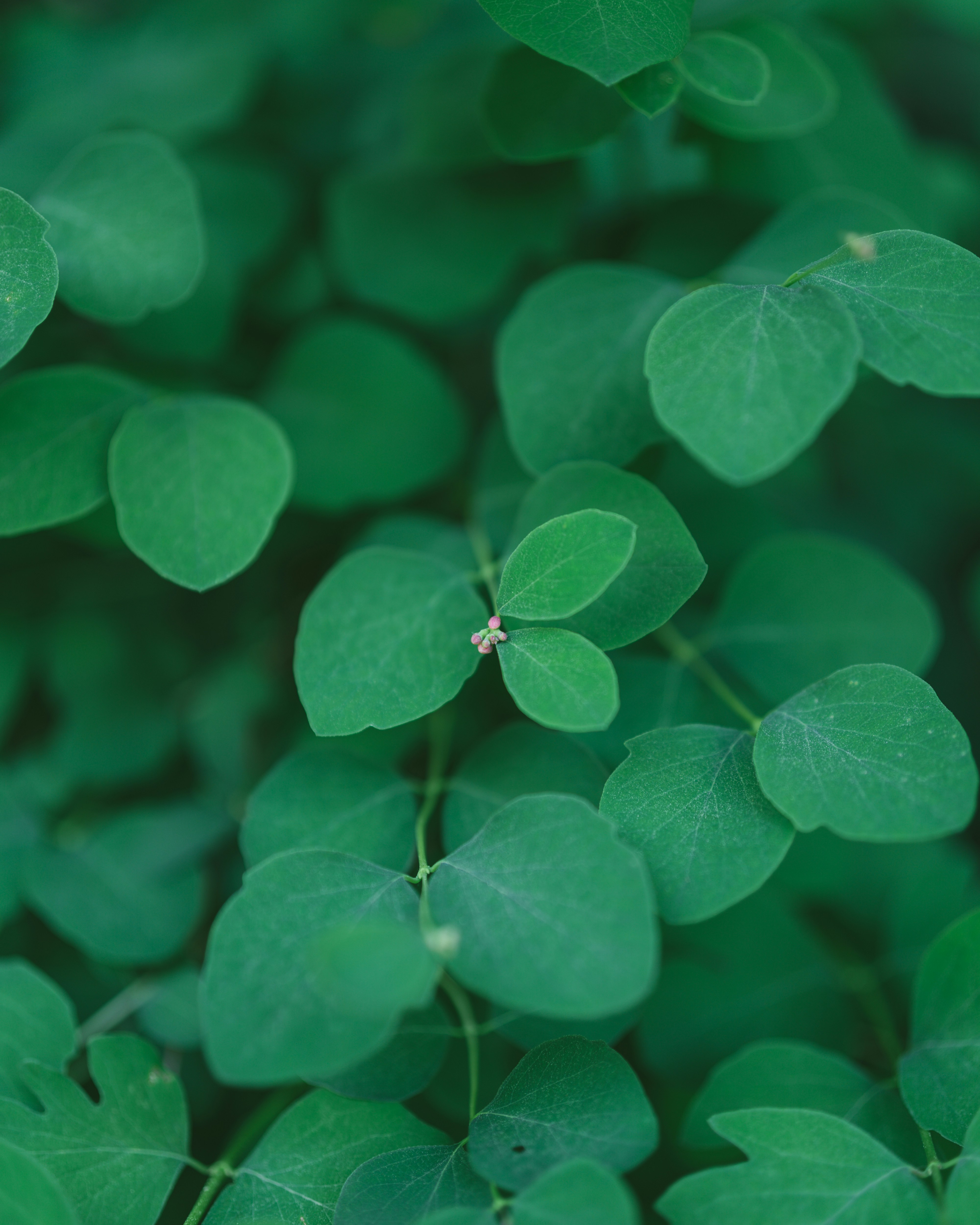 Photo by bangscreative