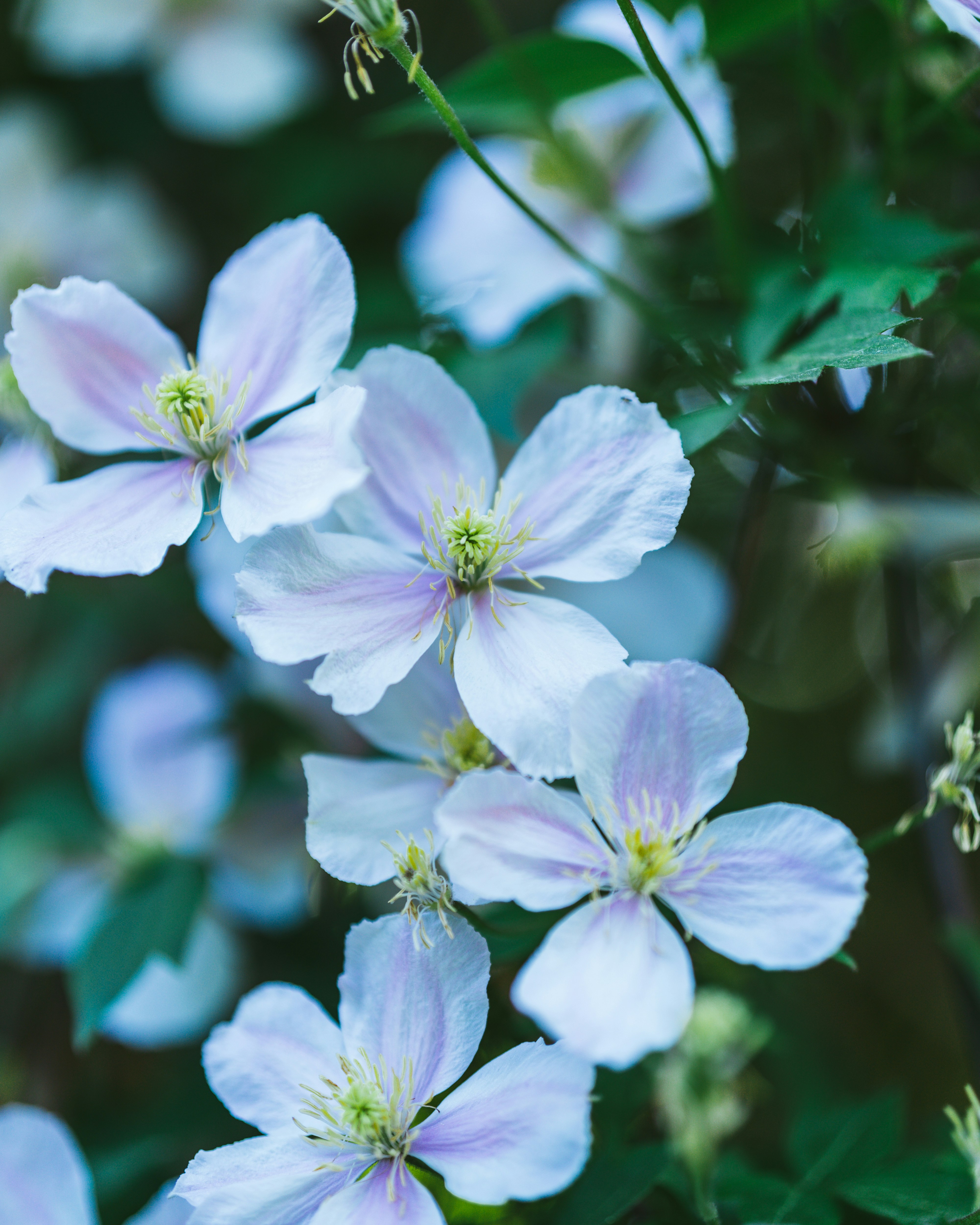 Photo by bangscreative