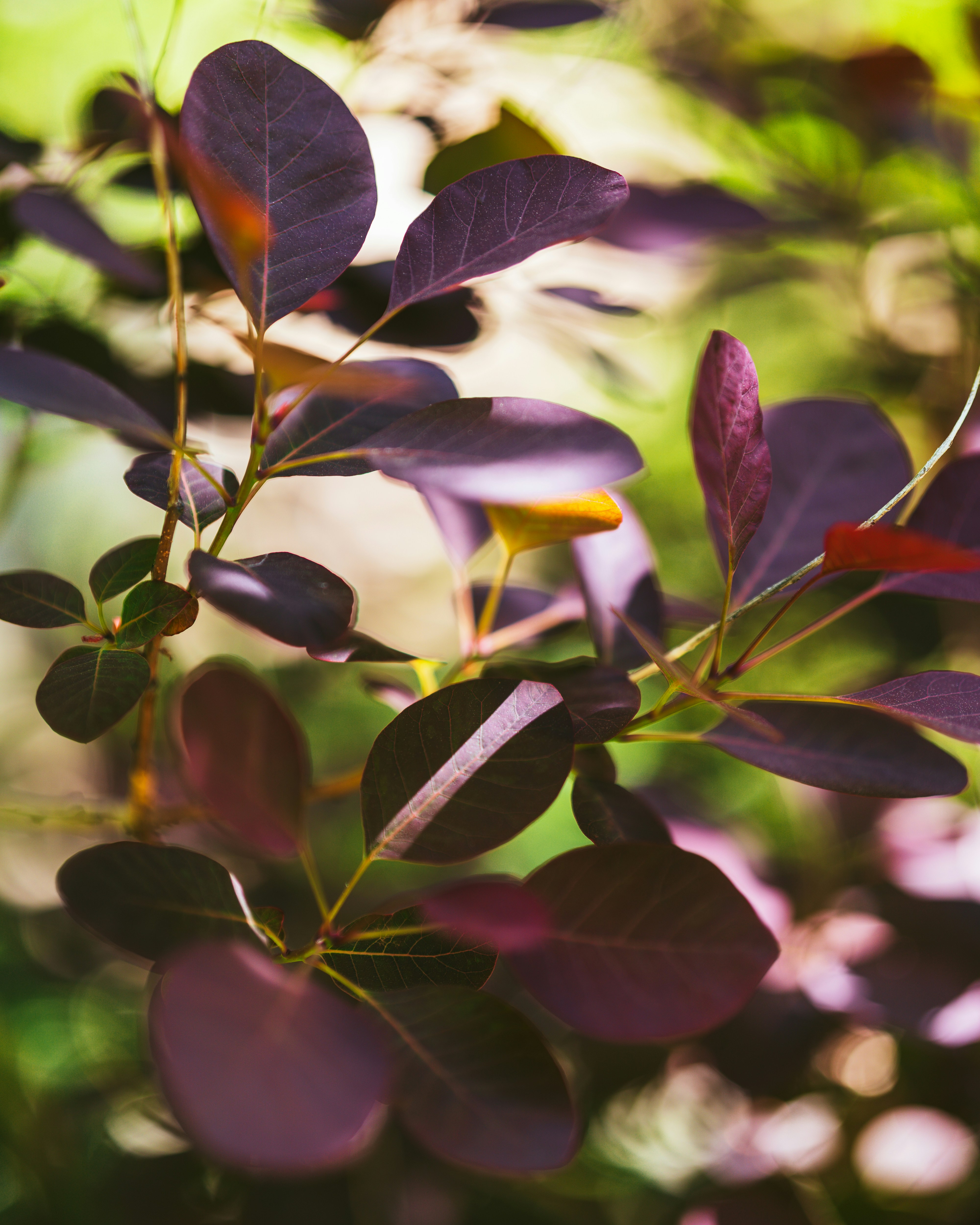 Photo by bangscreative