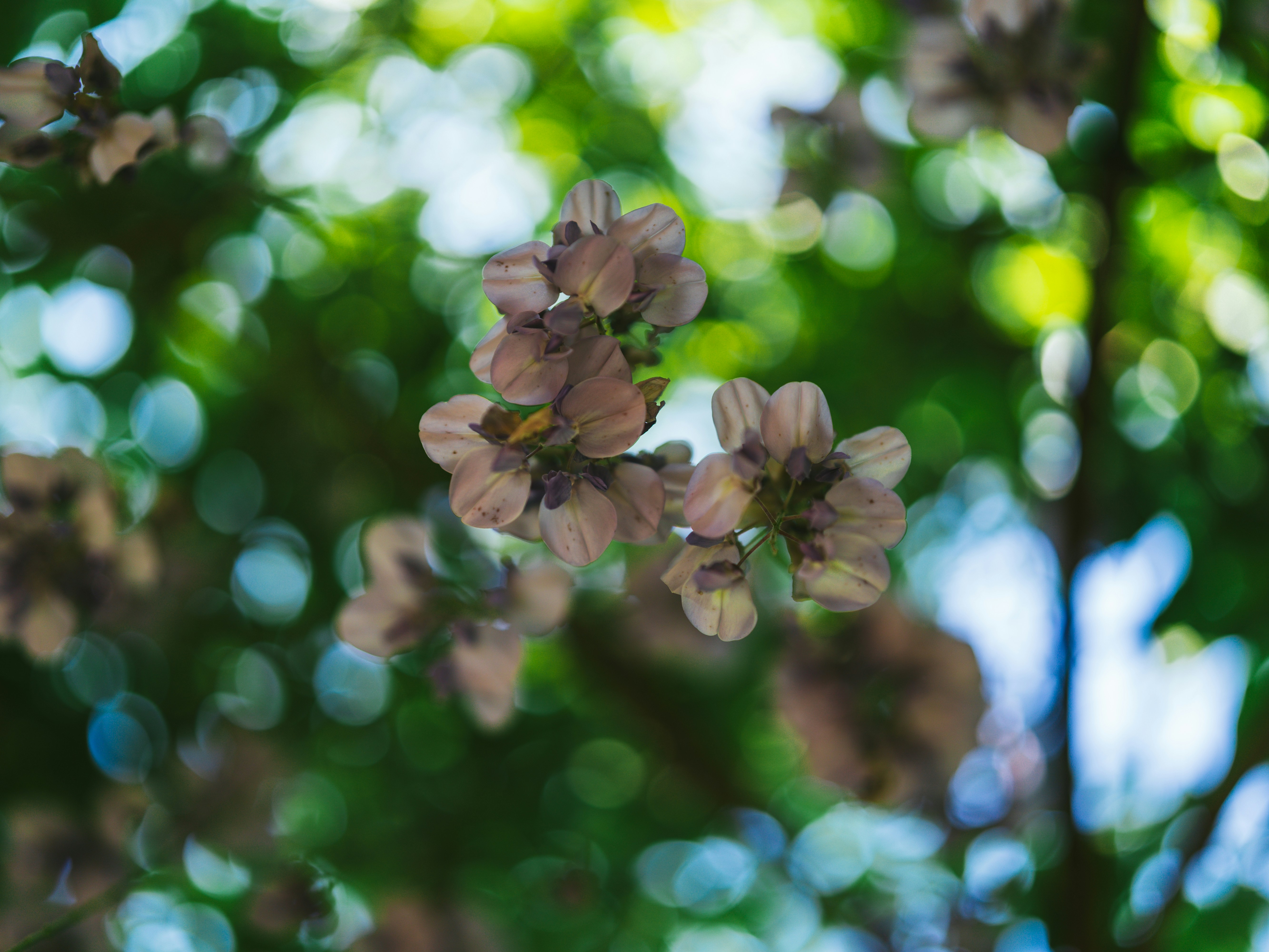 Photo by bangscreative