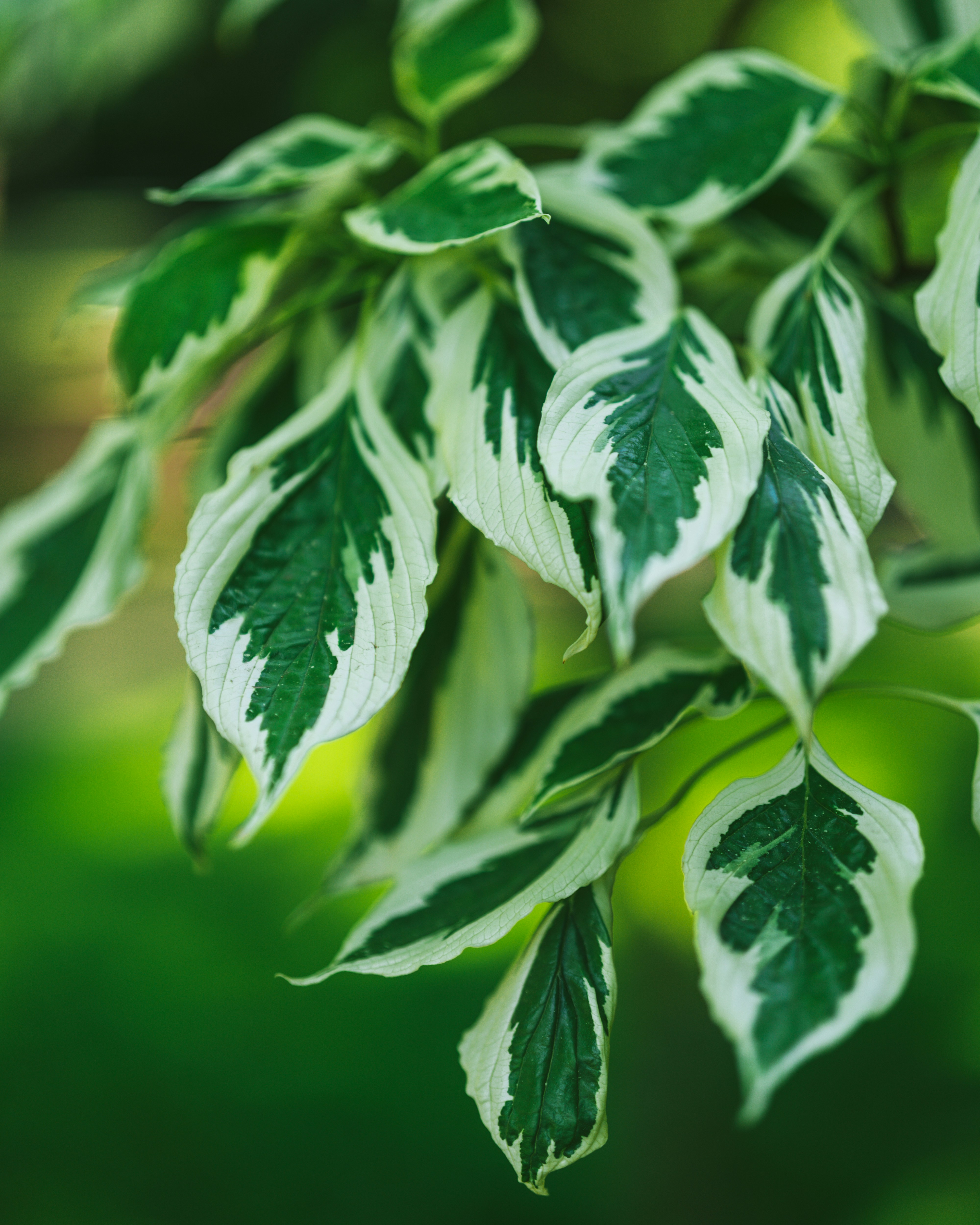 Photo by bangscreative