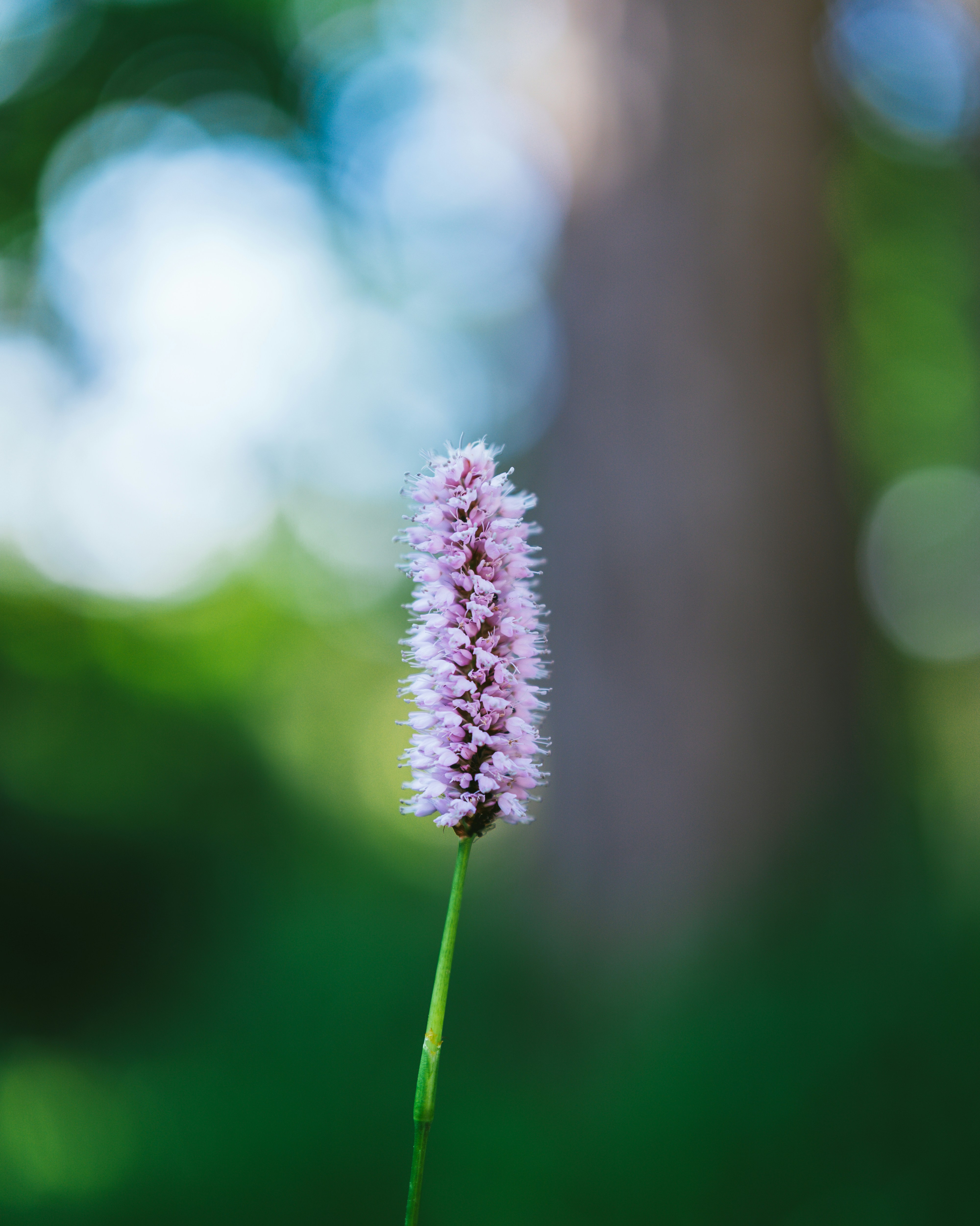 Photo by bangscreative