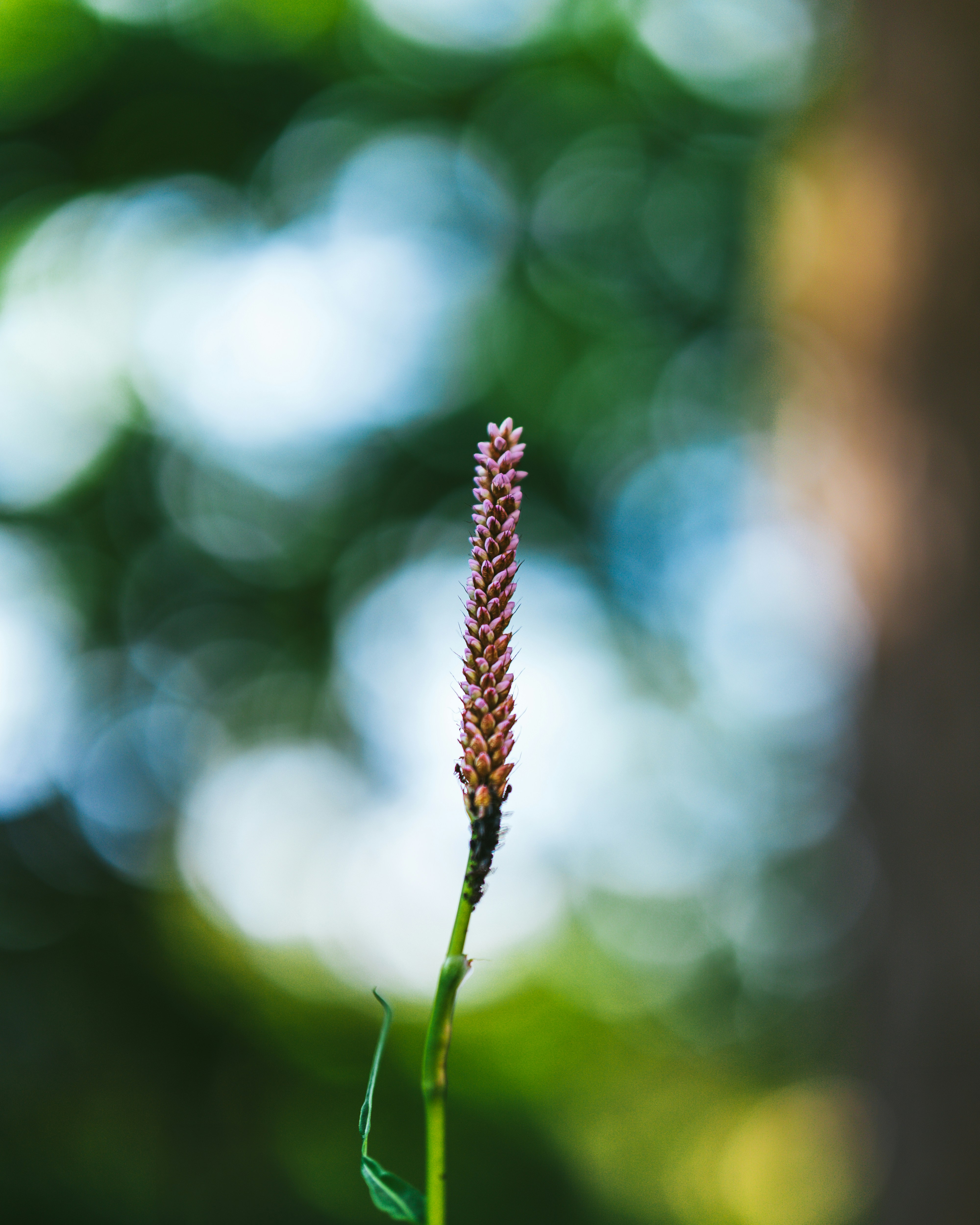 Photo by bangscreative