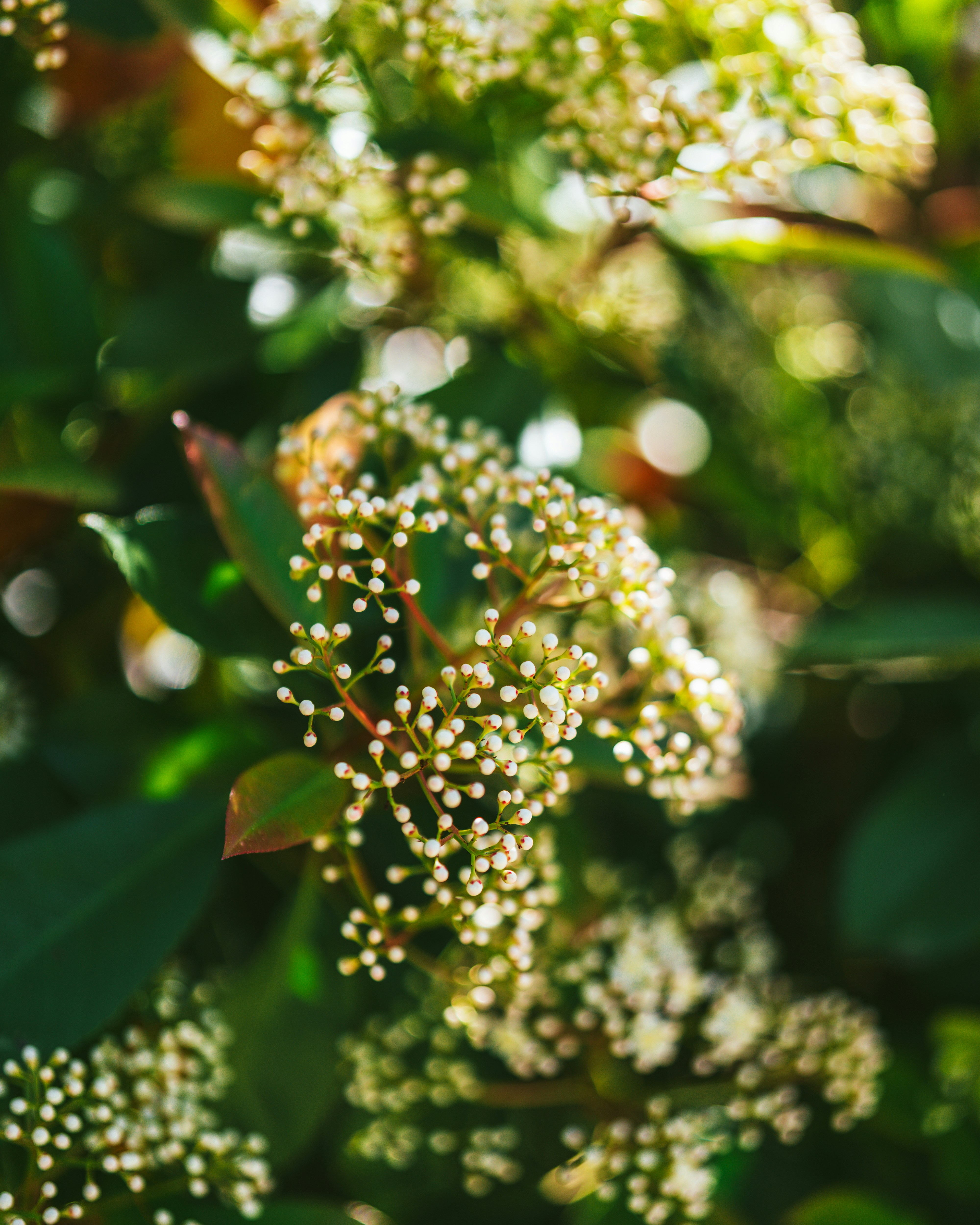 Photo by bangscreative