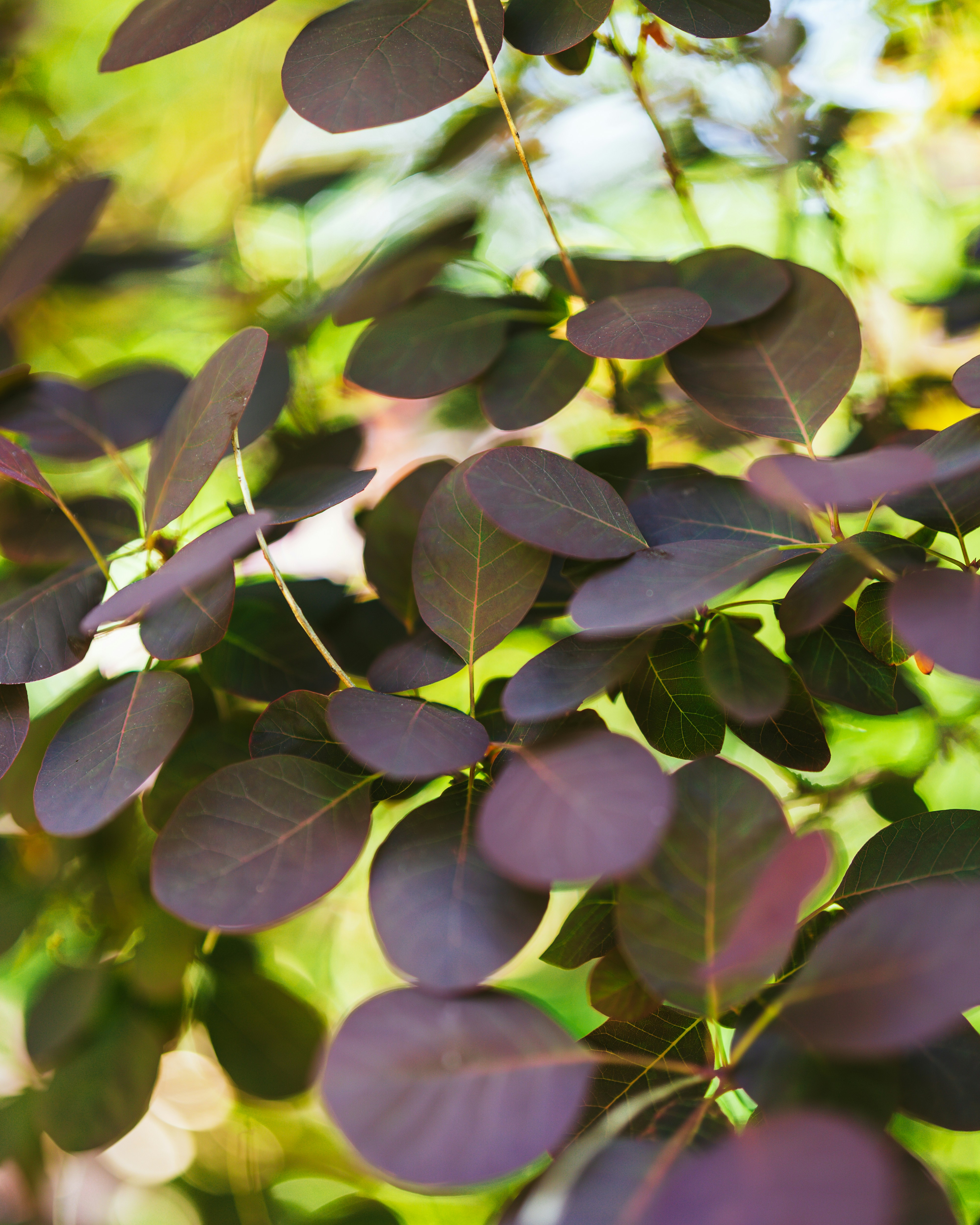 Photo by bangscreative