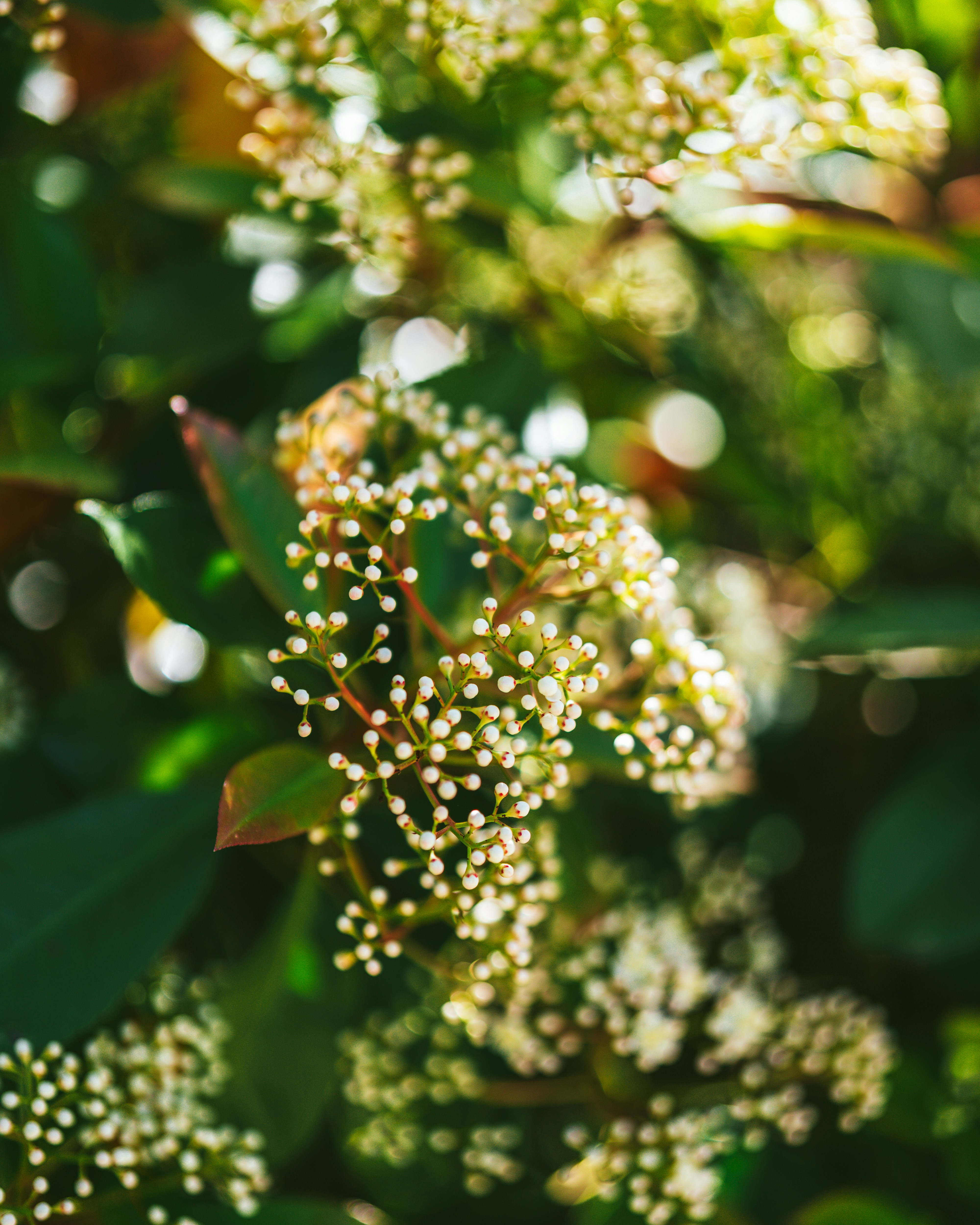 Photo by bangscreative