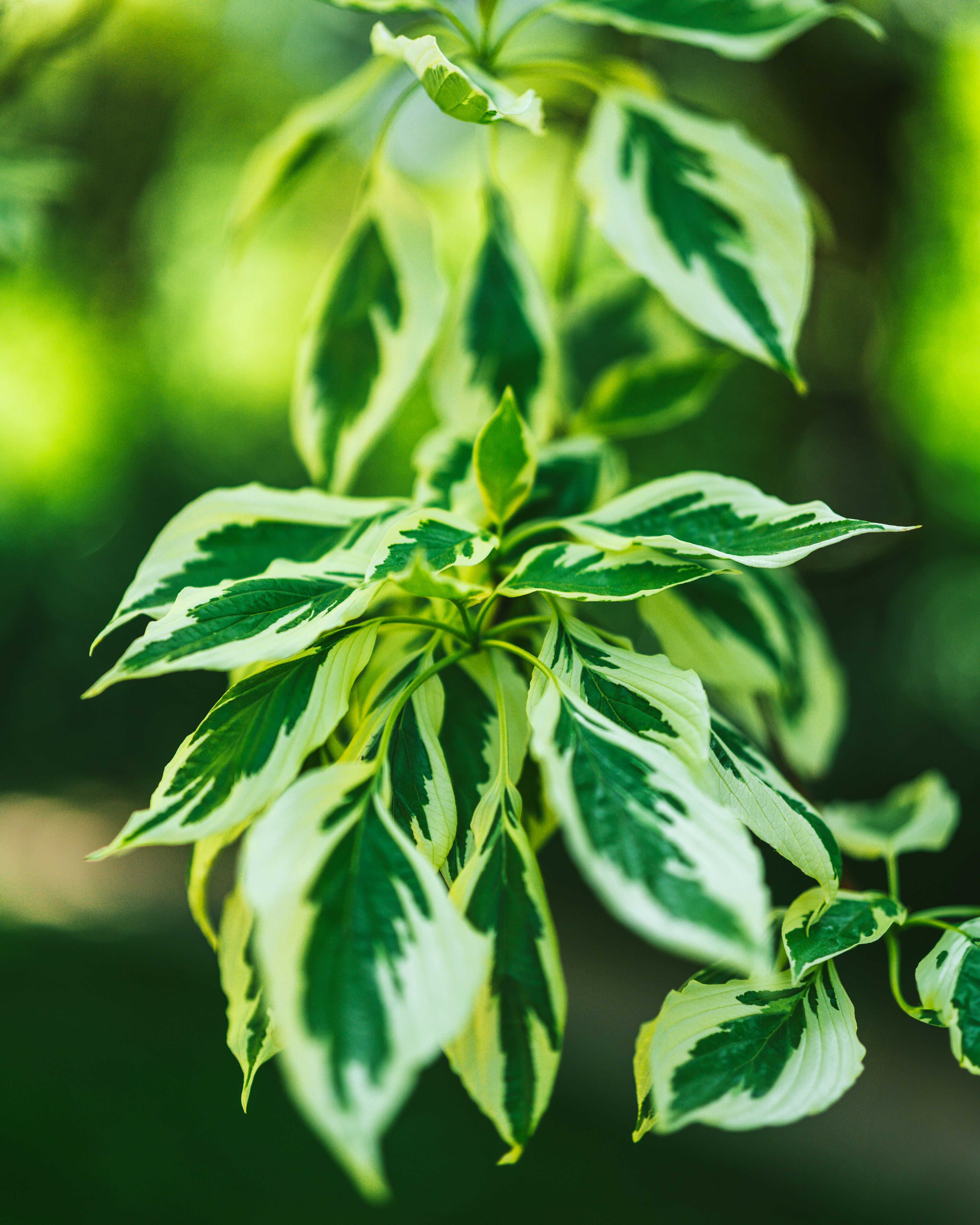 Photo by bangscreative