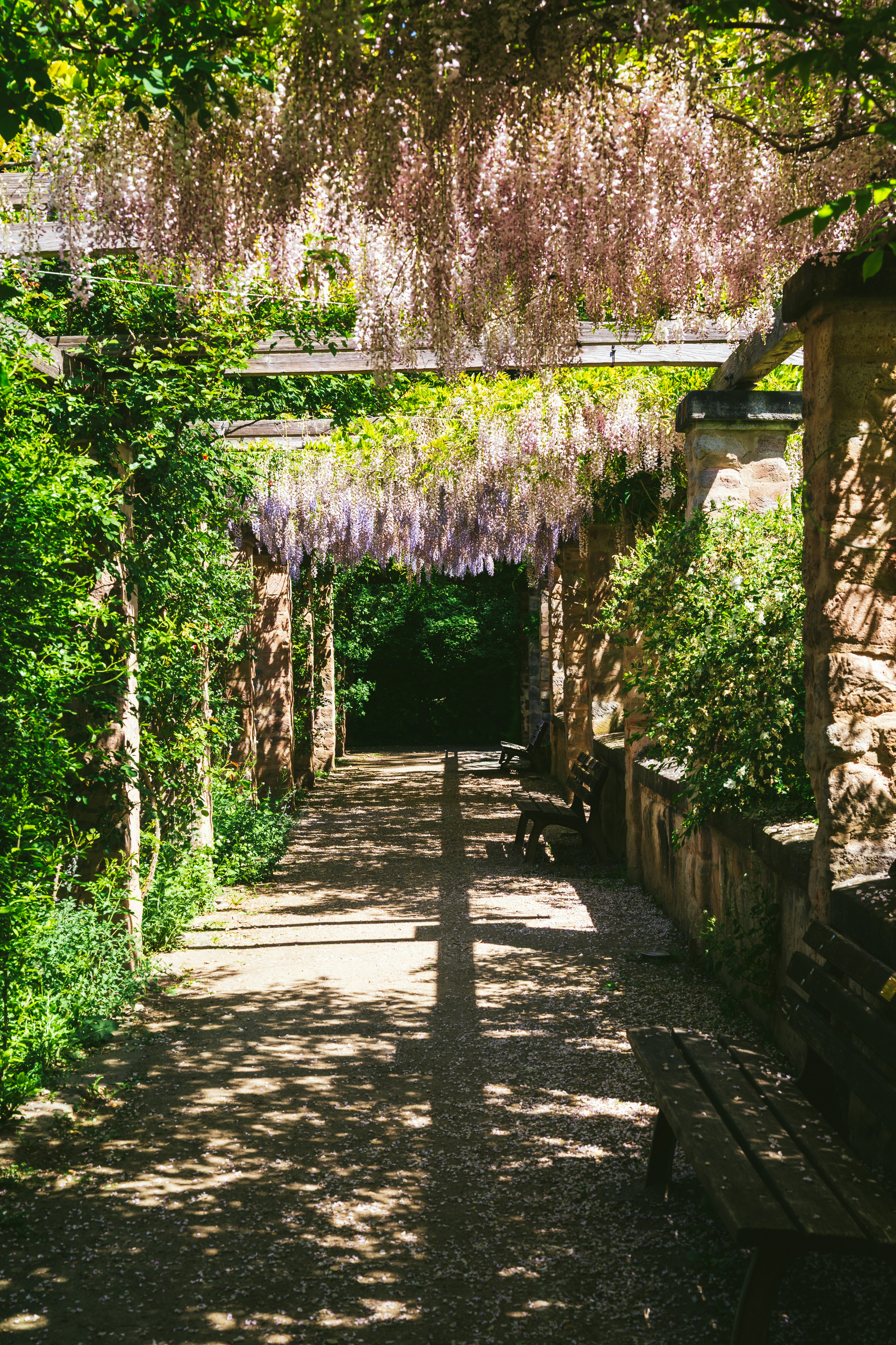 Photo by bangscreative