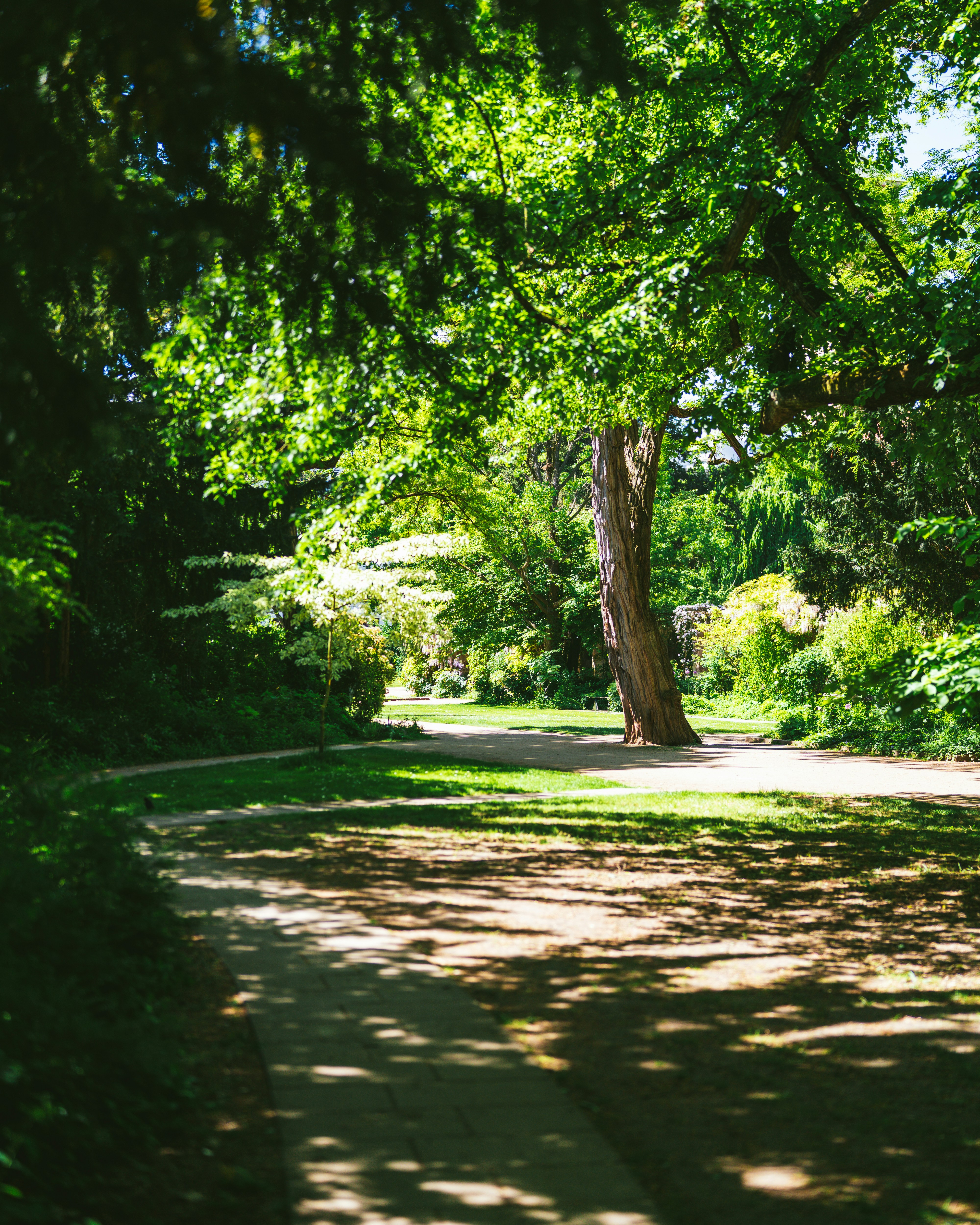 Photo by bangscreative