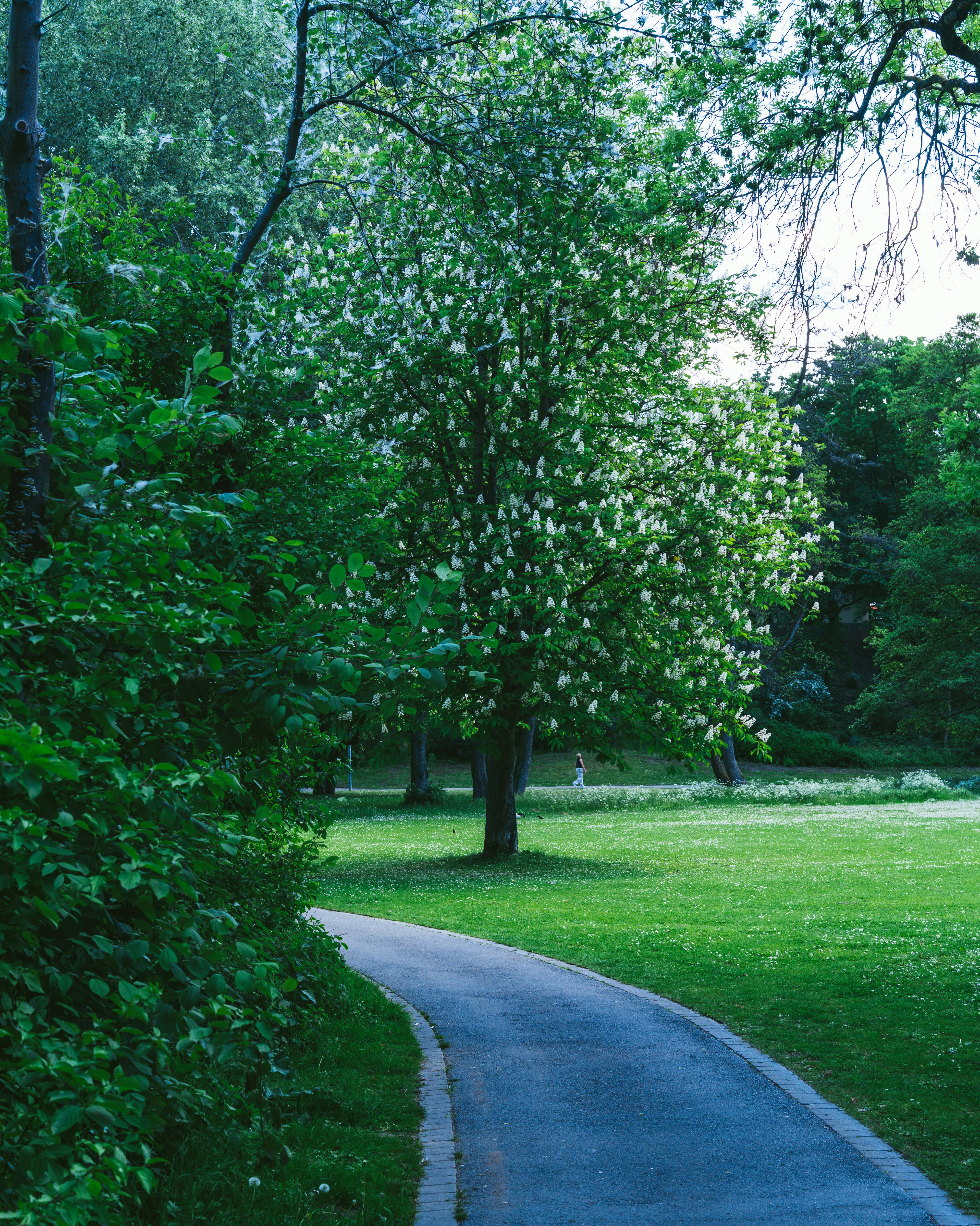 Photo by bangscreative