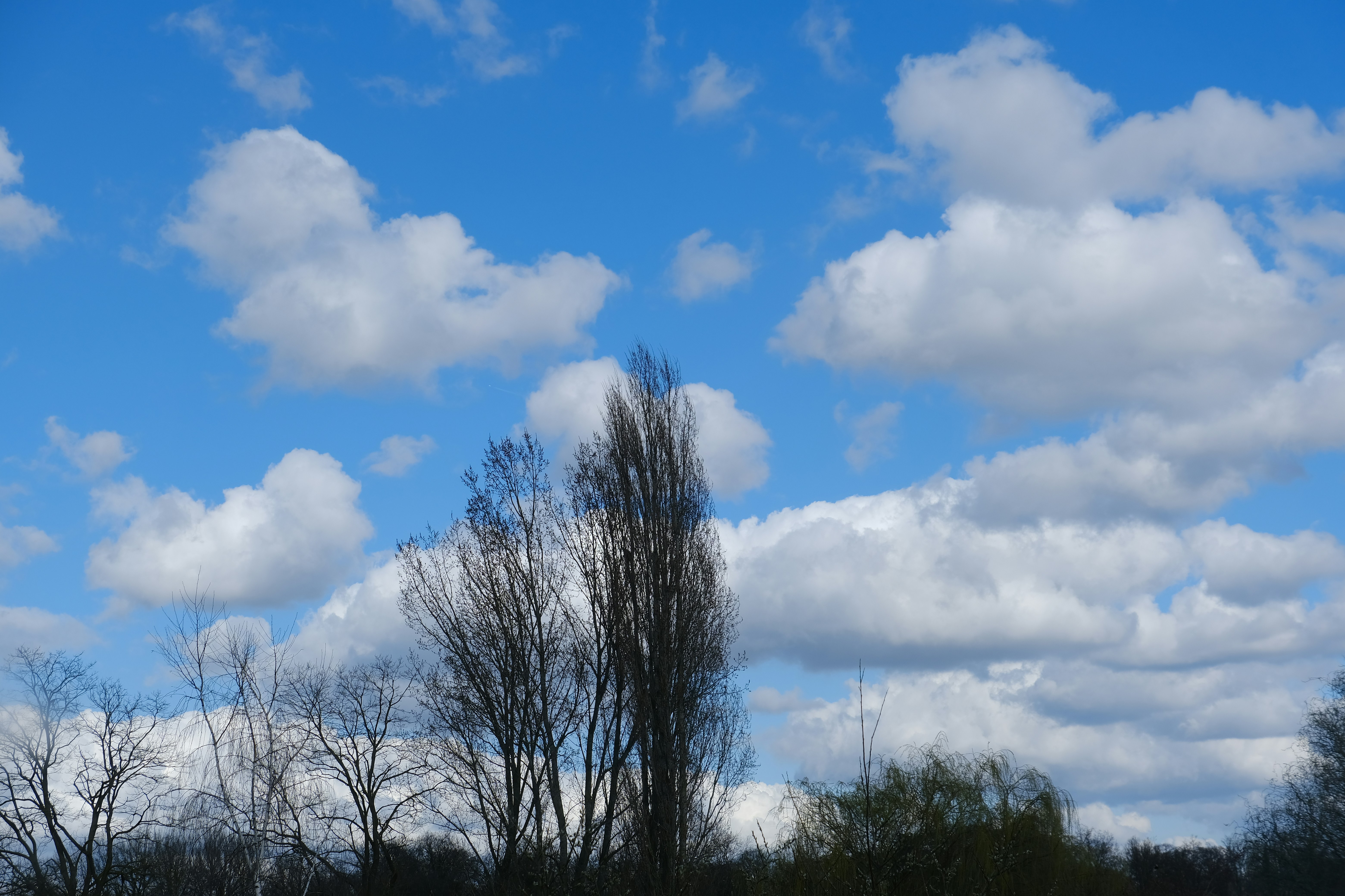 Photo by boudewijn_huysmans