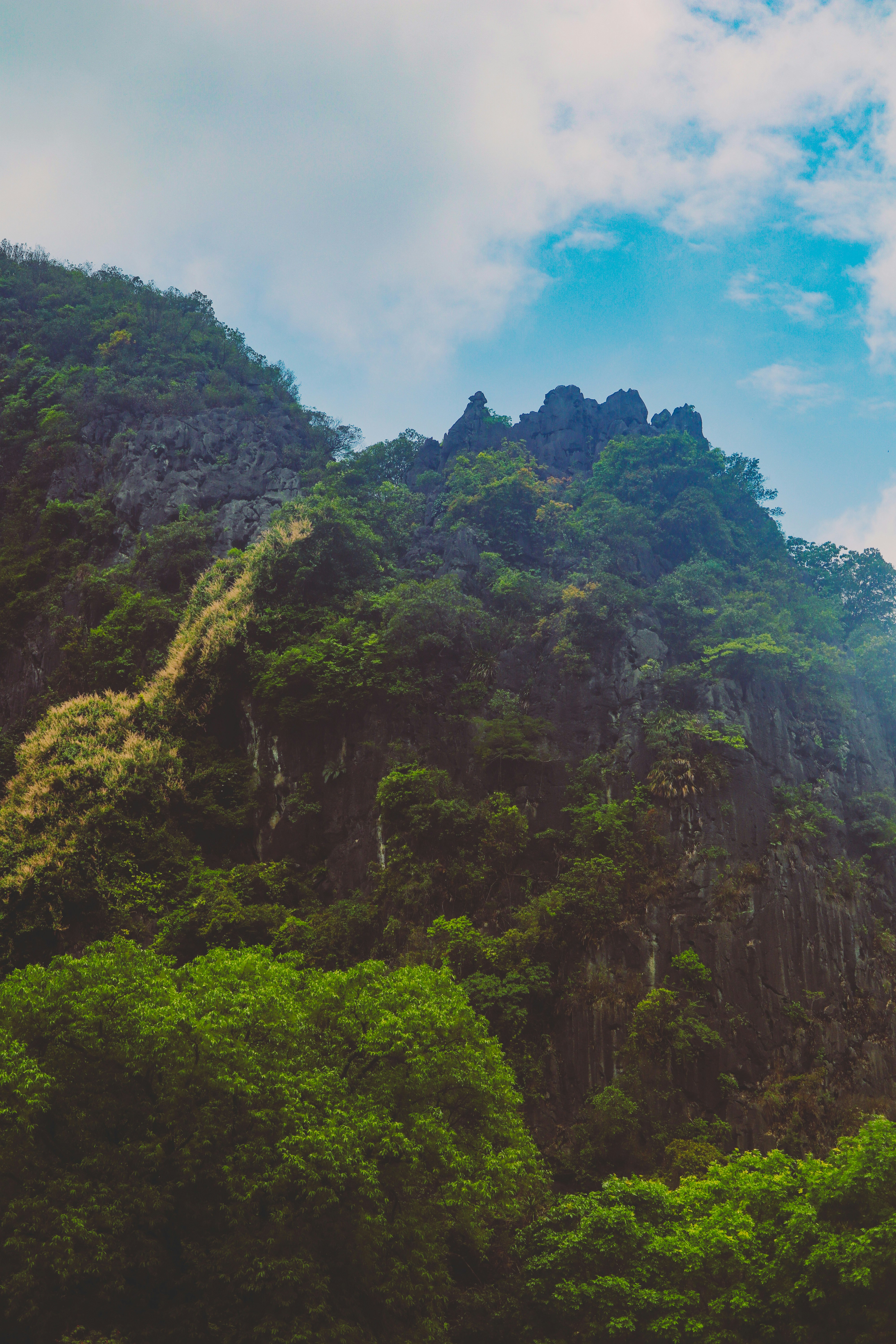 Photo by flying_dutchman_